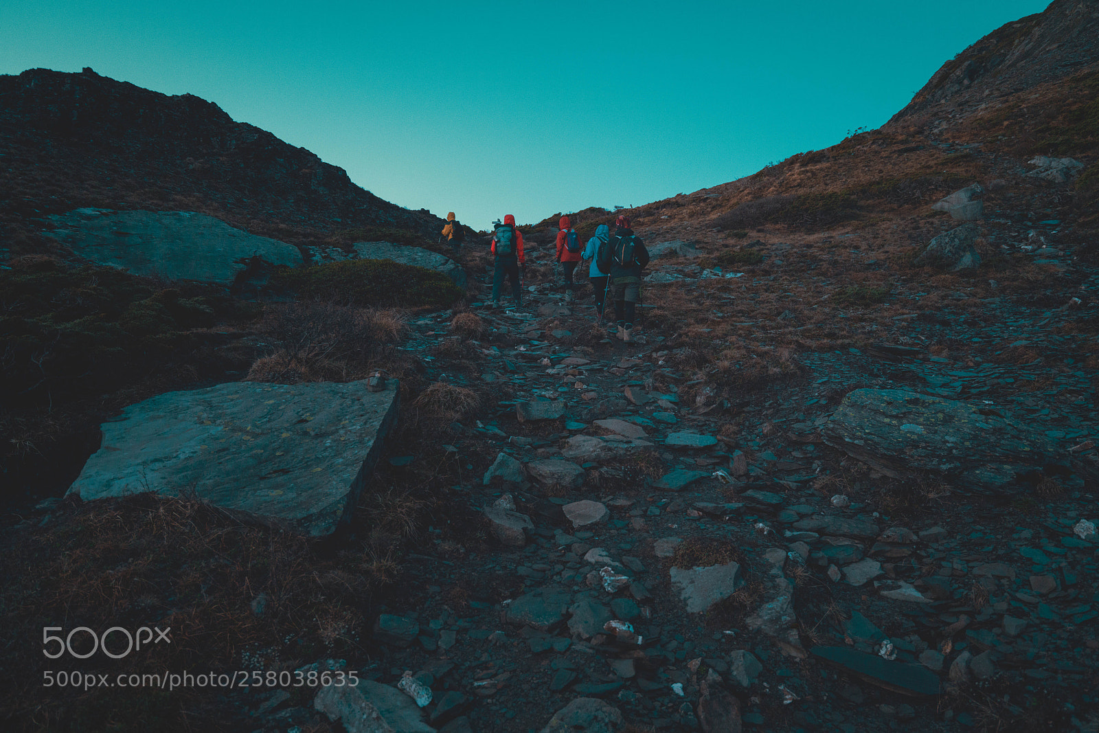 Sony a7R II sample photo. Untitled photography