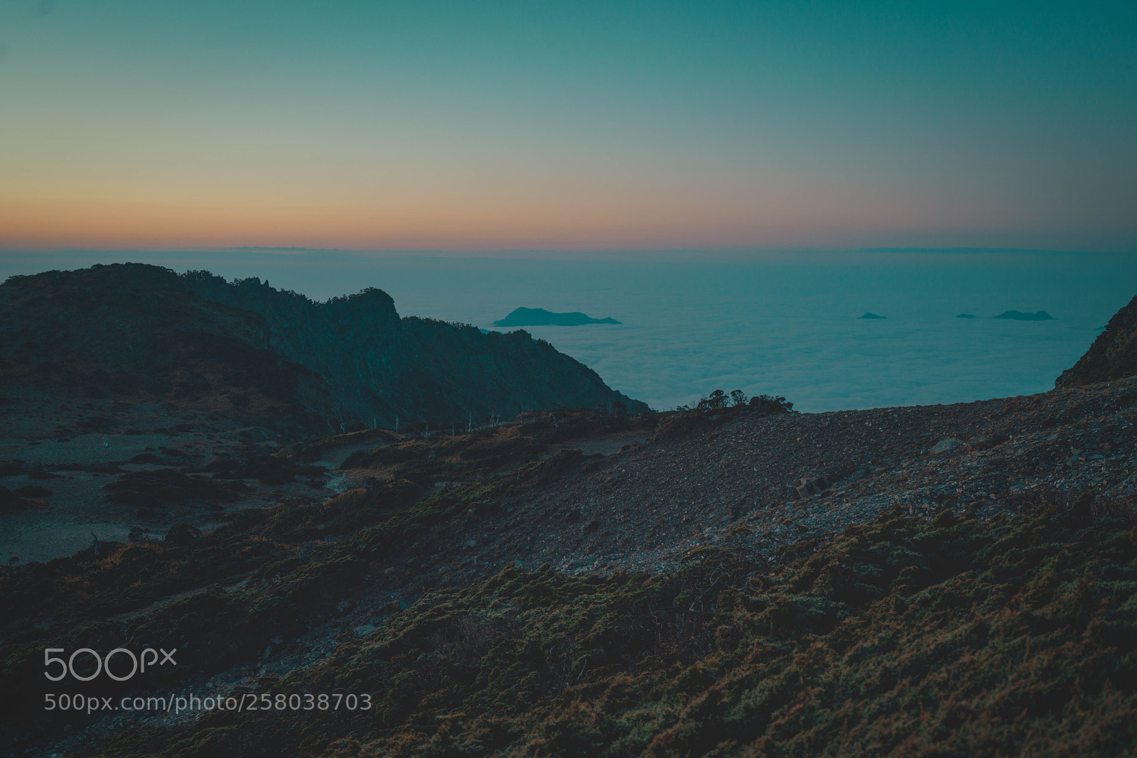 Sony a7R II sample photo. Untitled photography