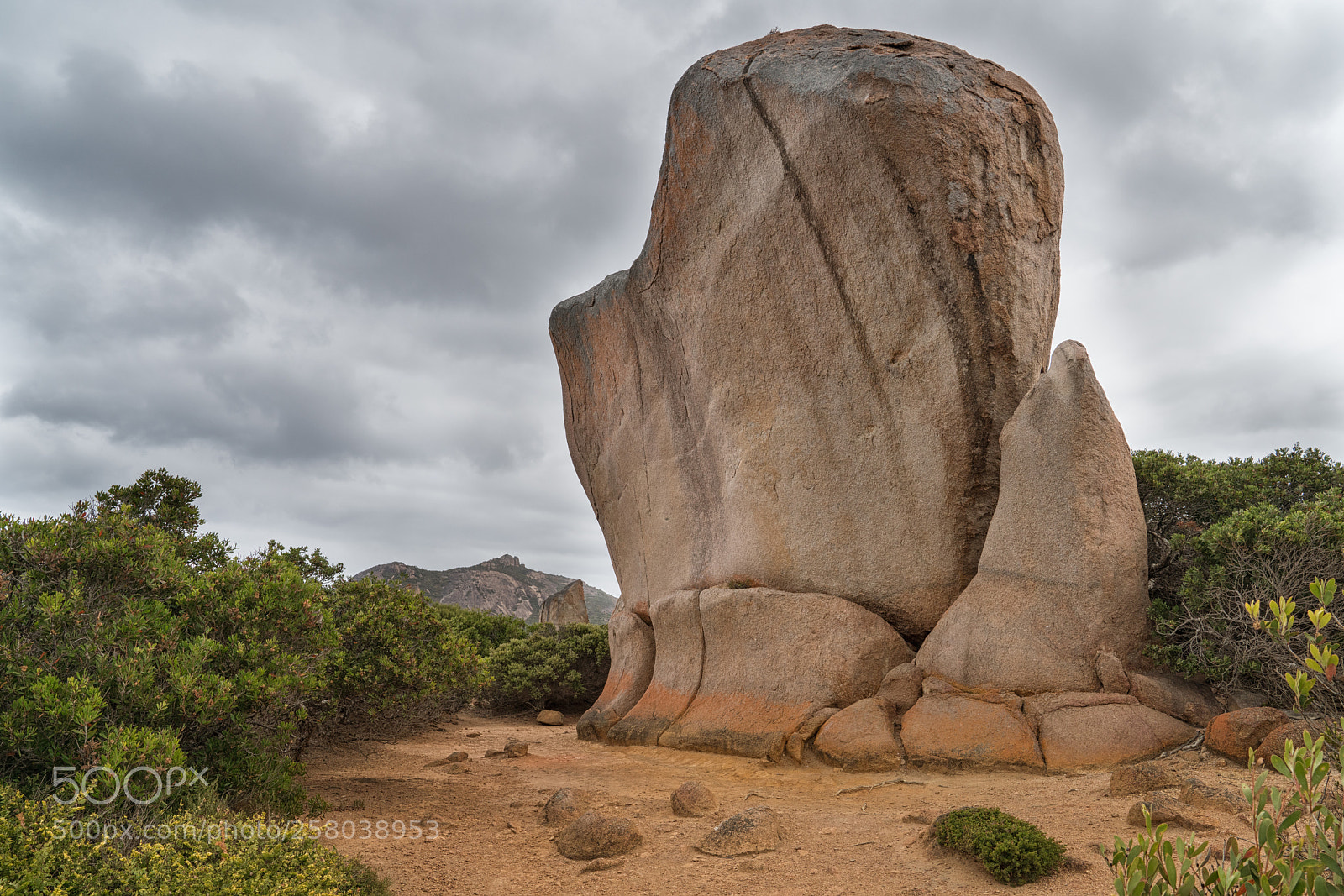 Sony a7R II sample photo. Cape le grand national photography