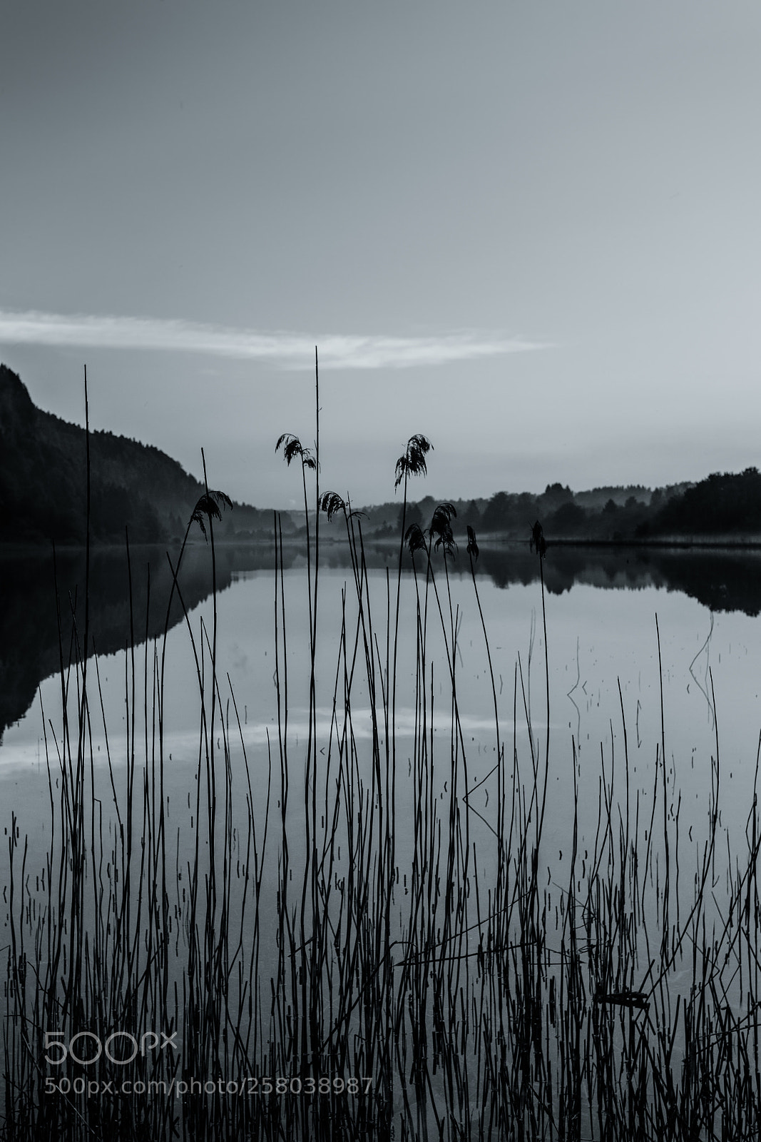 Canon EOS 6D sample photo. Lac d'etival, jura (mai 2018) photography