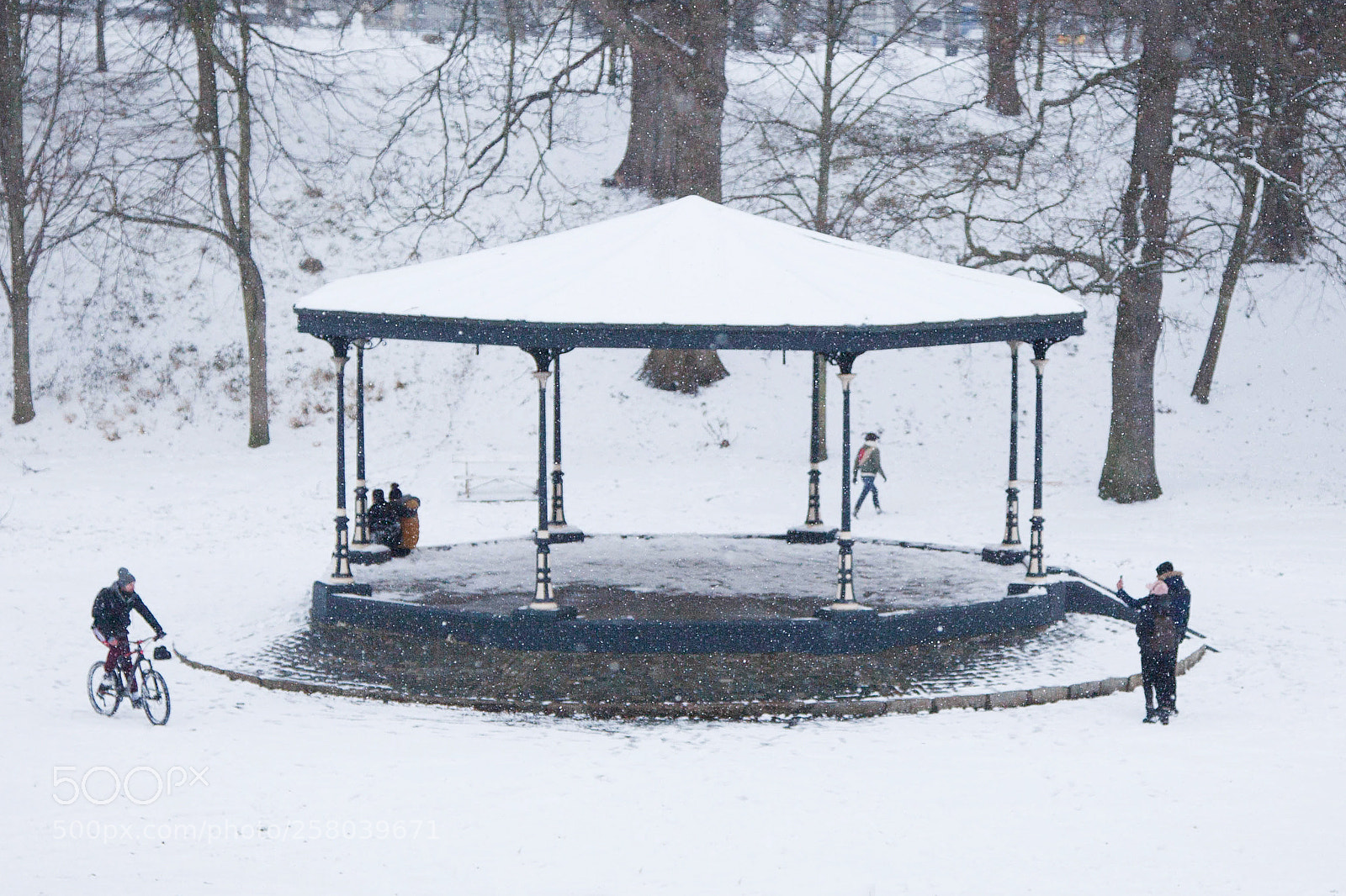 Canon EOS 5D Mark II sample photo. The bandstand photography