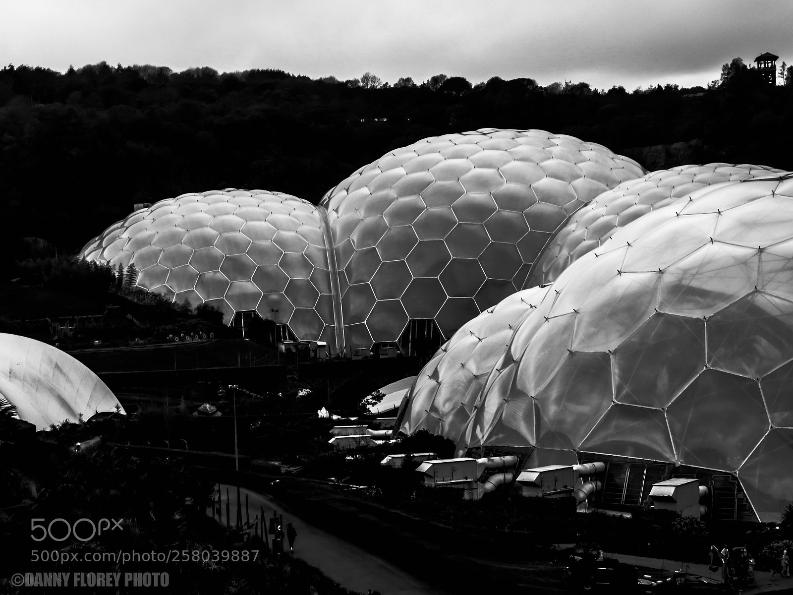 Panasonic Lumix DMC-GX8 sample photo. Biome b&w photography