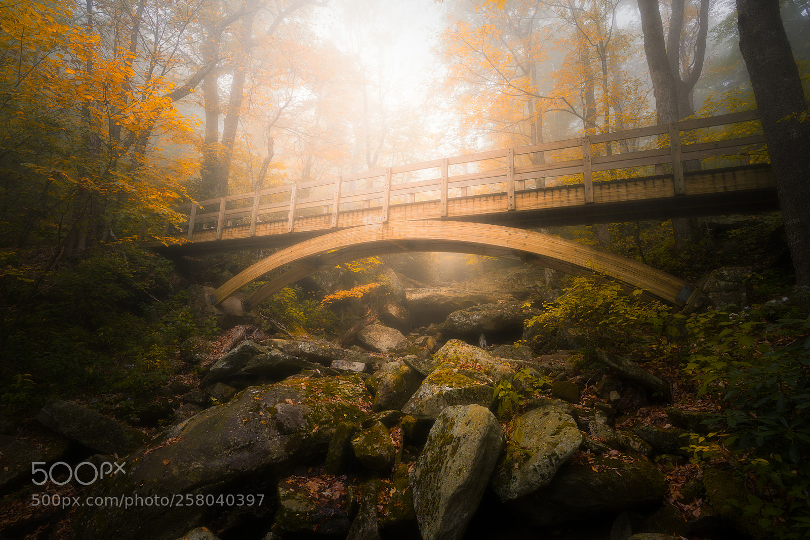 Sony a7R II sample photo. Footbridge on hiking trail photography