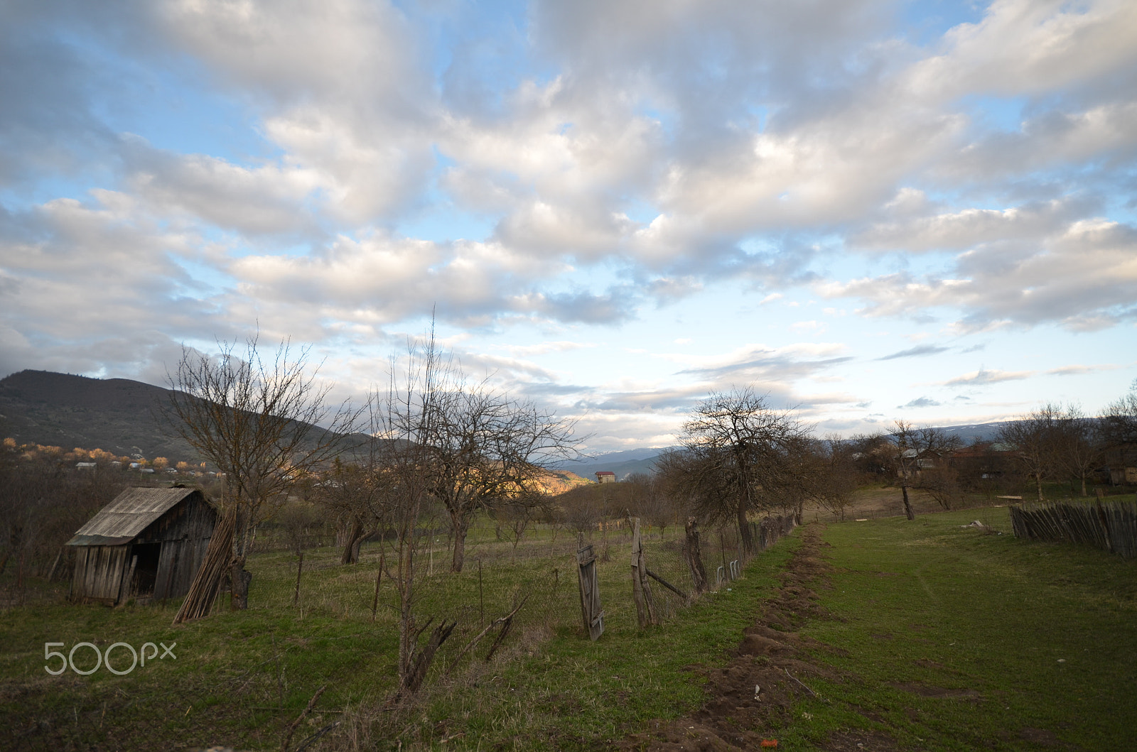 Nikon D7000 + Sigma 10-20mm F4-5.6 EX DC HSM sample photo. Evening in nikortsminda photography