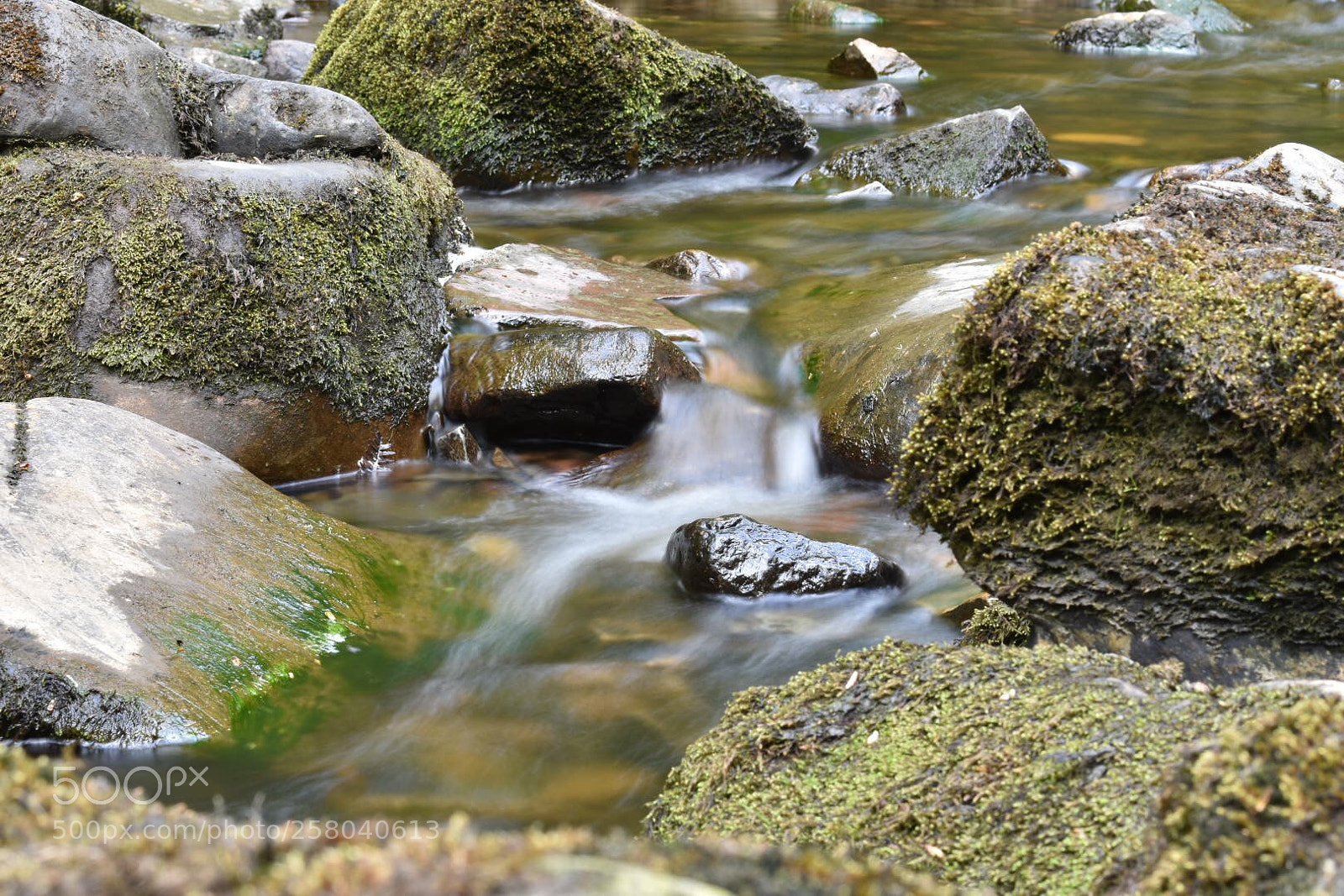Nikon D3400 sample photo. Flowing water  photography