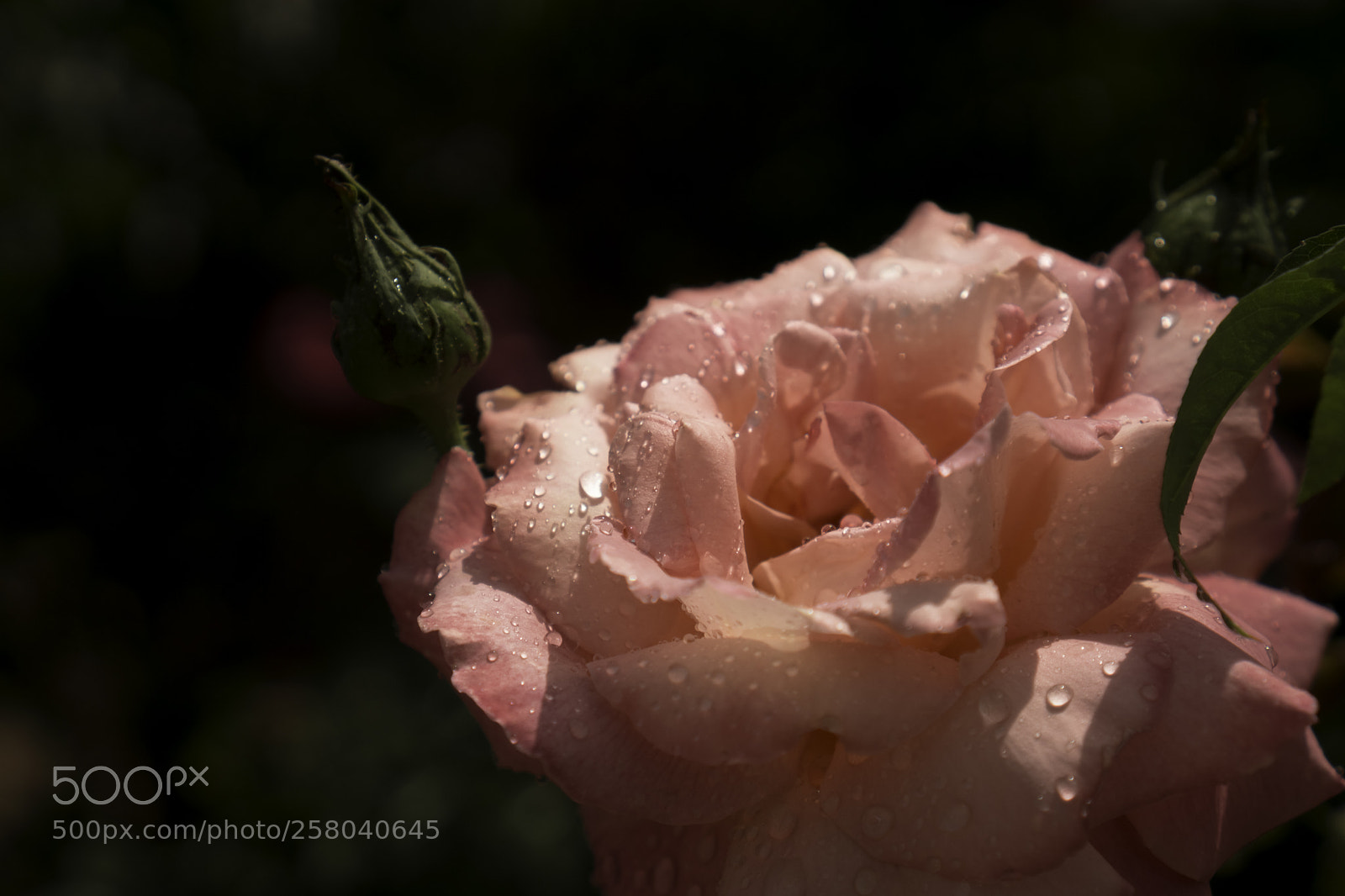 Sony a6000 sample photo. Last light photography