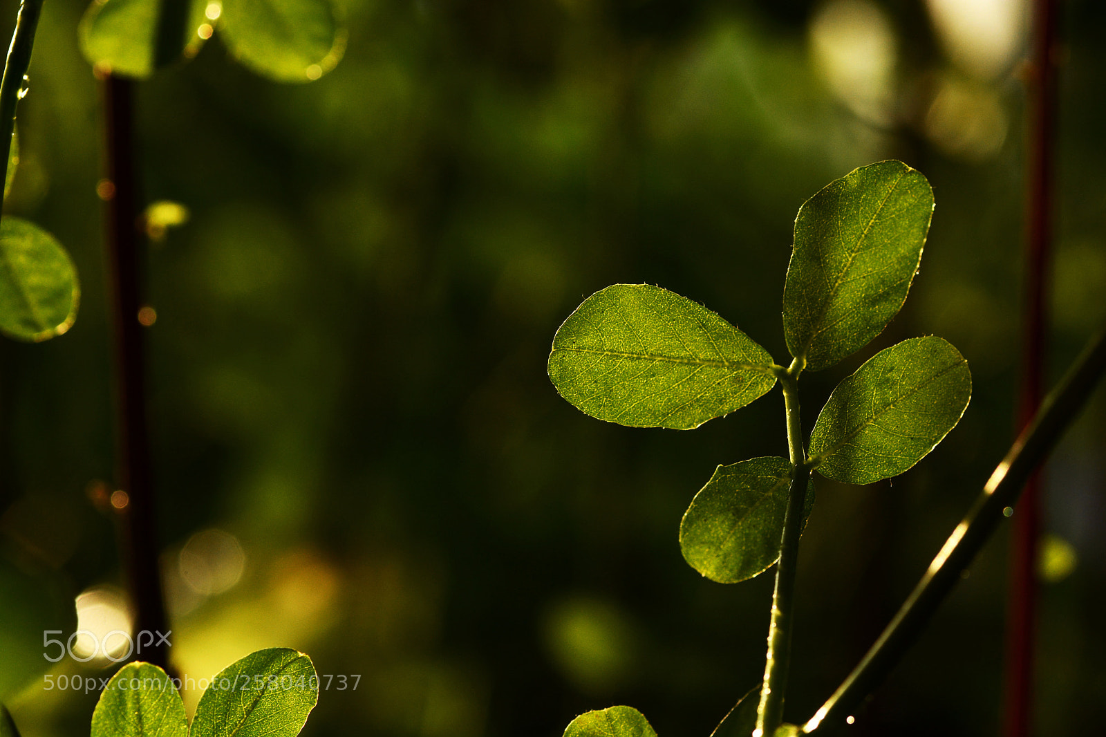Nikon D7100 sample photo. Untitled photography