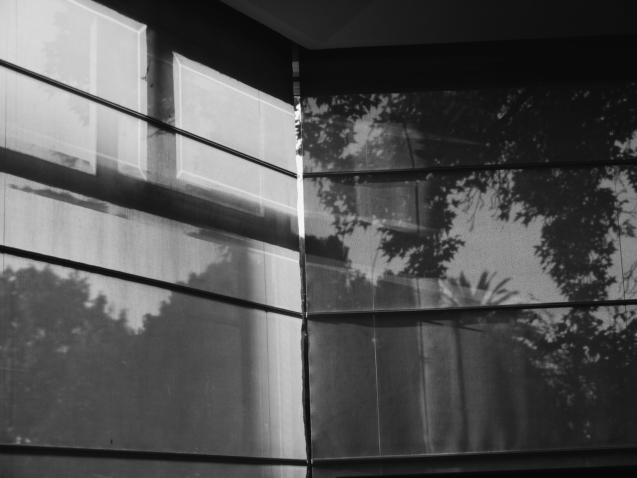 Panasonic Lumix DMC-GH2 sample photo. Through and through  photography