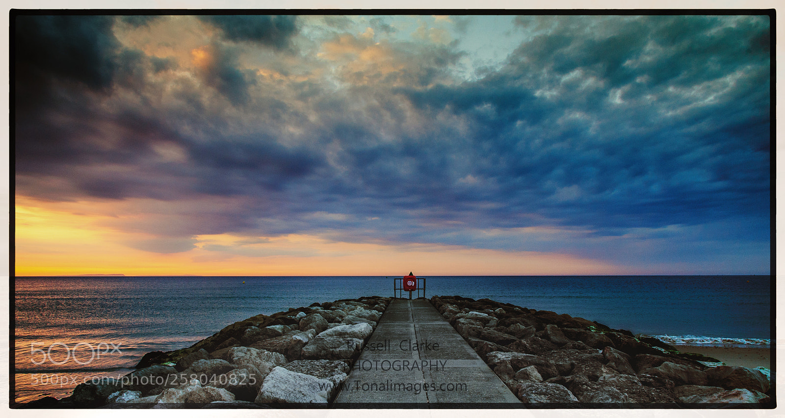 Nikon D700 sample photo. Alarm call photography