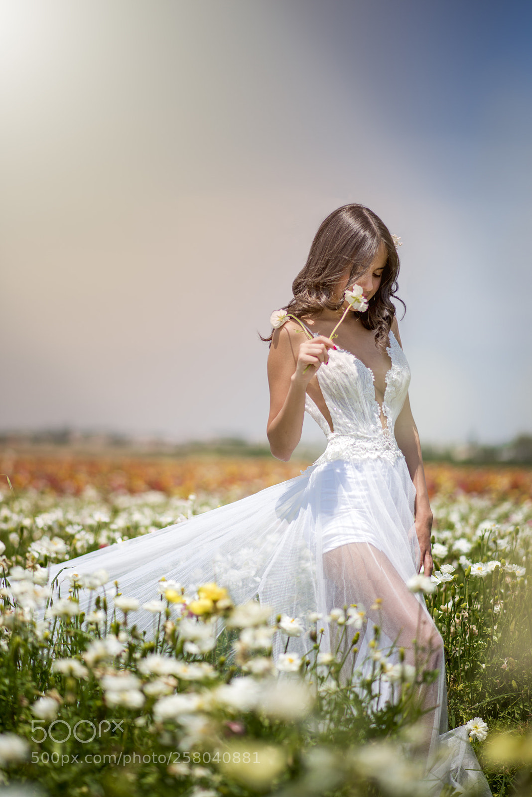 Nikon D610 sample photo. Dream white photography