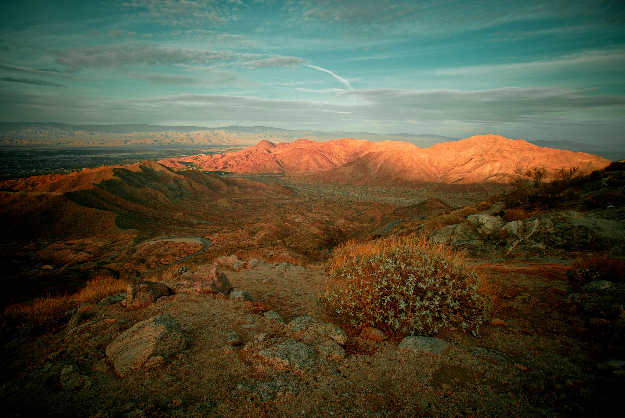 Canon EOS-1D sample photo. Palm desert summer edward betz photography