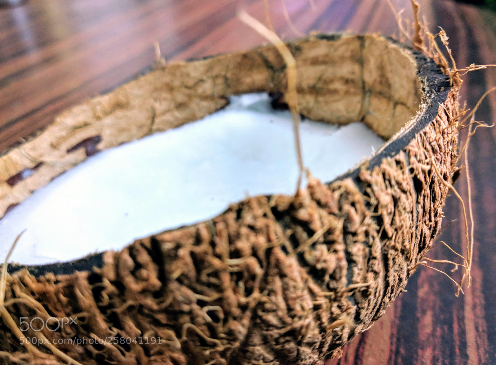 Xiaomi Mi A1 sample photo. Coconut photography