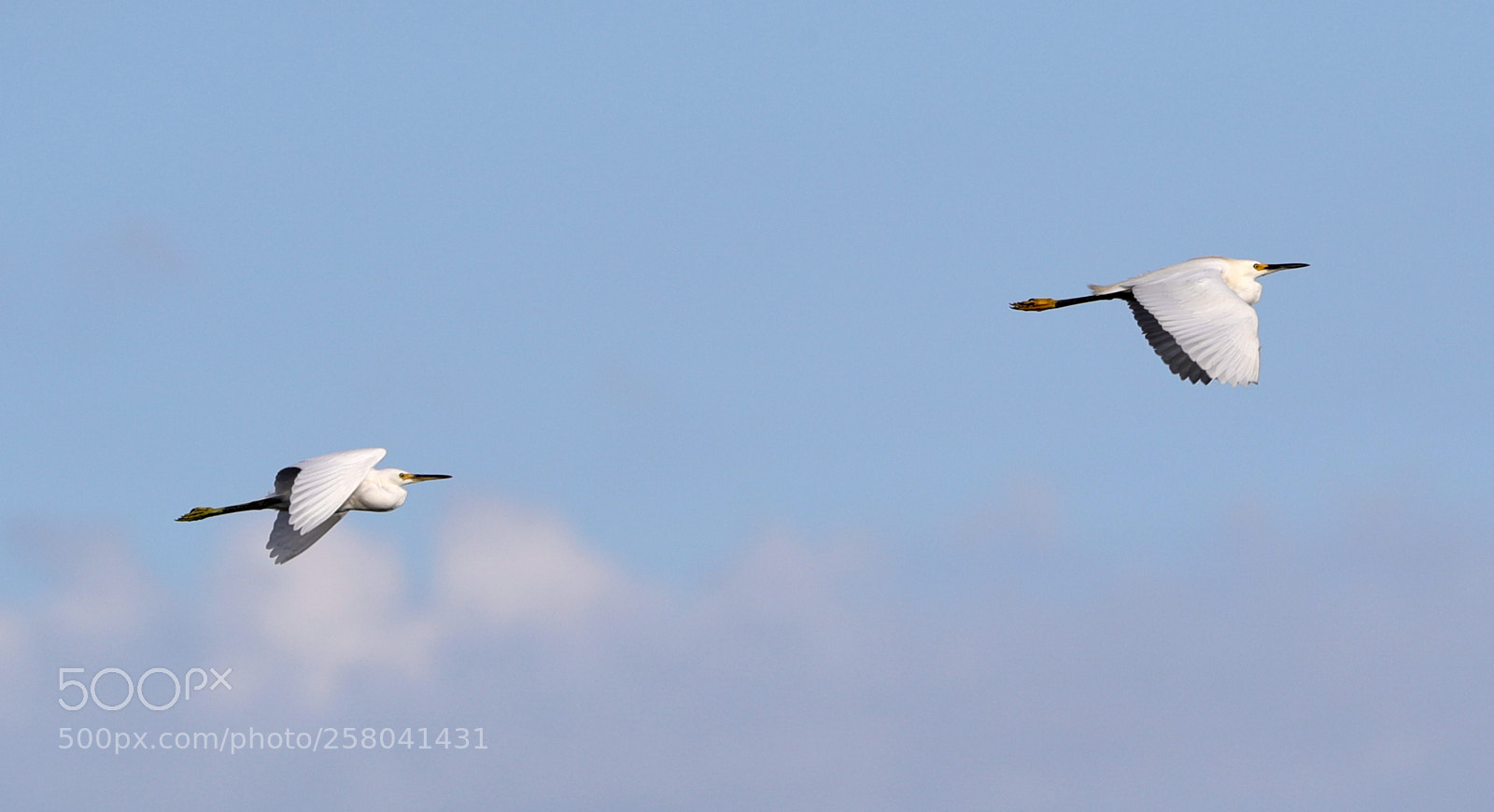 Canon EOS-1D X Mark II sample photo. 05-15-18-0017703.jpg photography