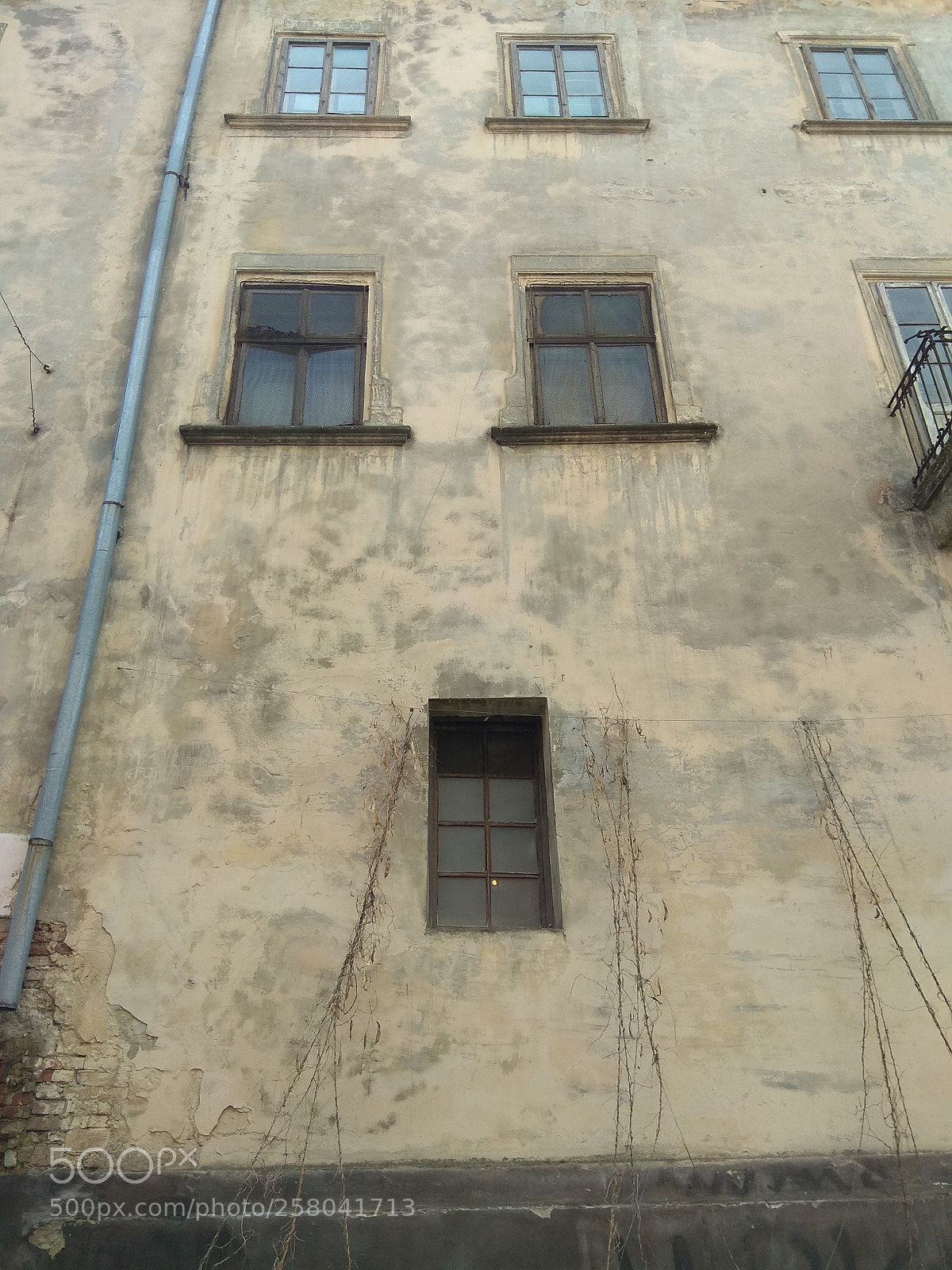 Xiaomi Redmi Note 4 sample photo. Windows photography