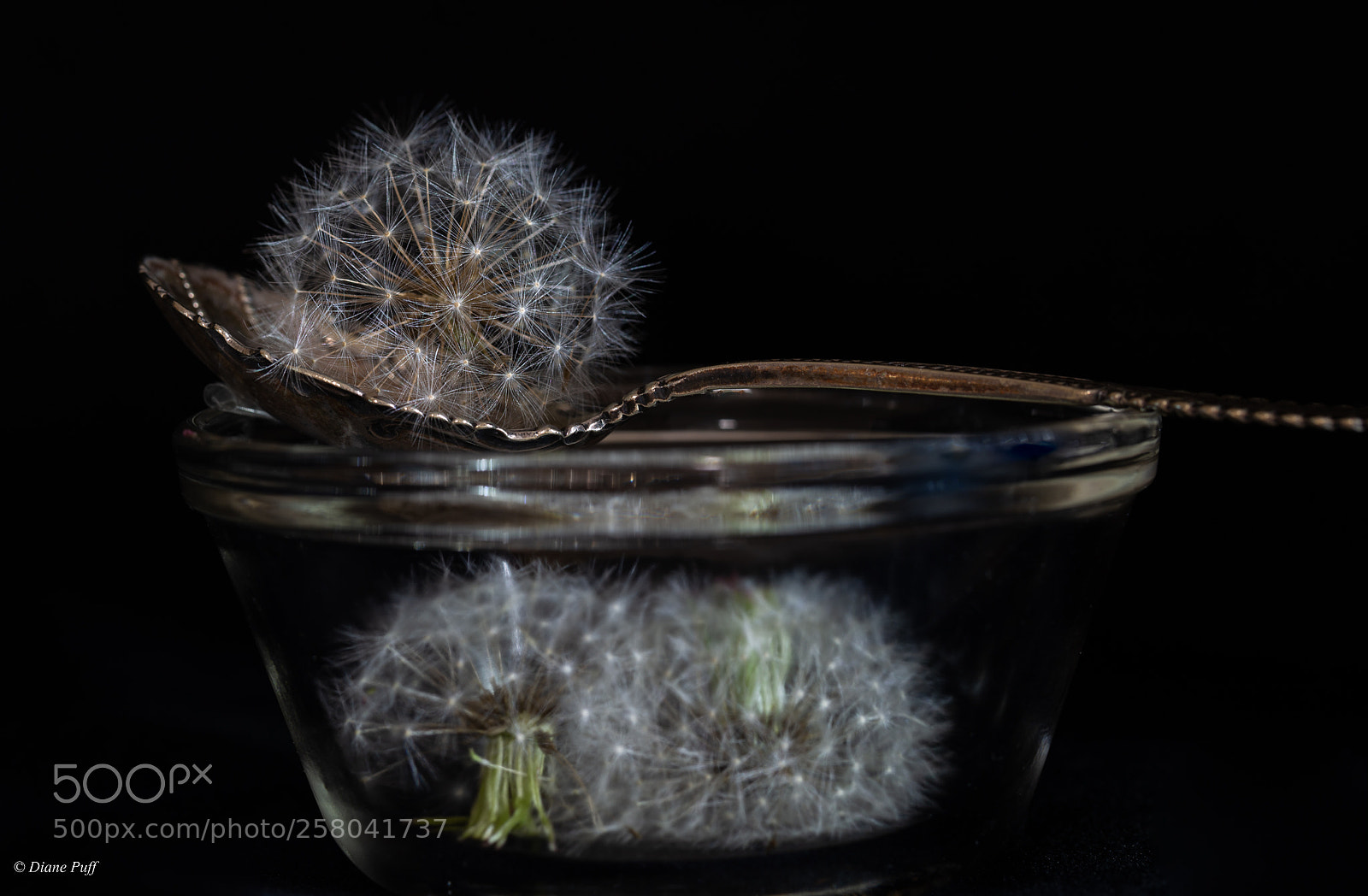 Canon EOS 6D sample photo. Spoon full of wishes photography