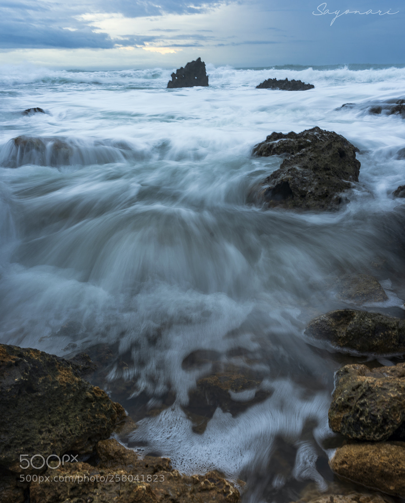Sony a7 II sample photo. Dsc photography