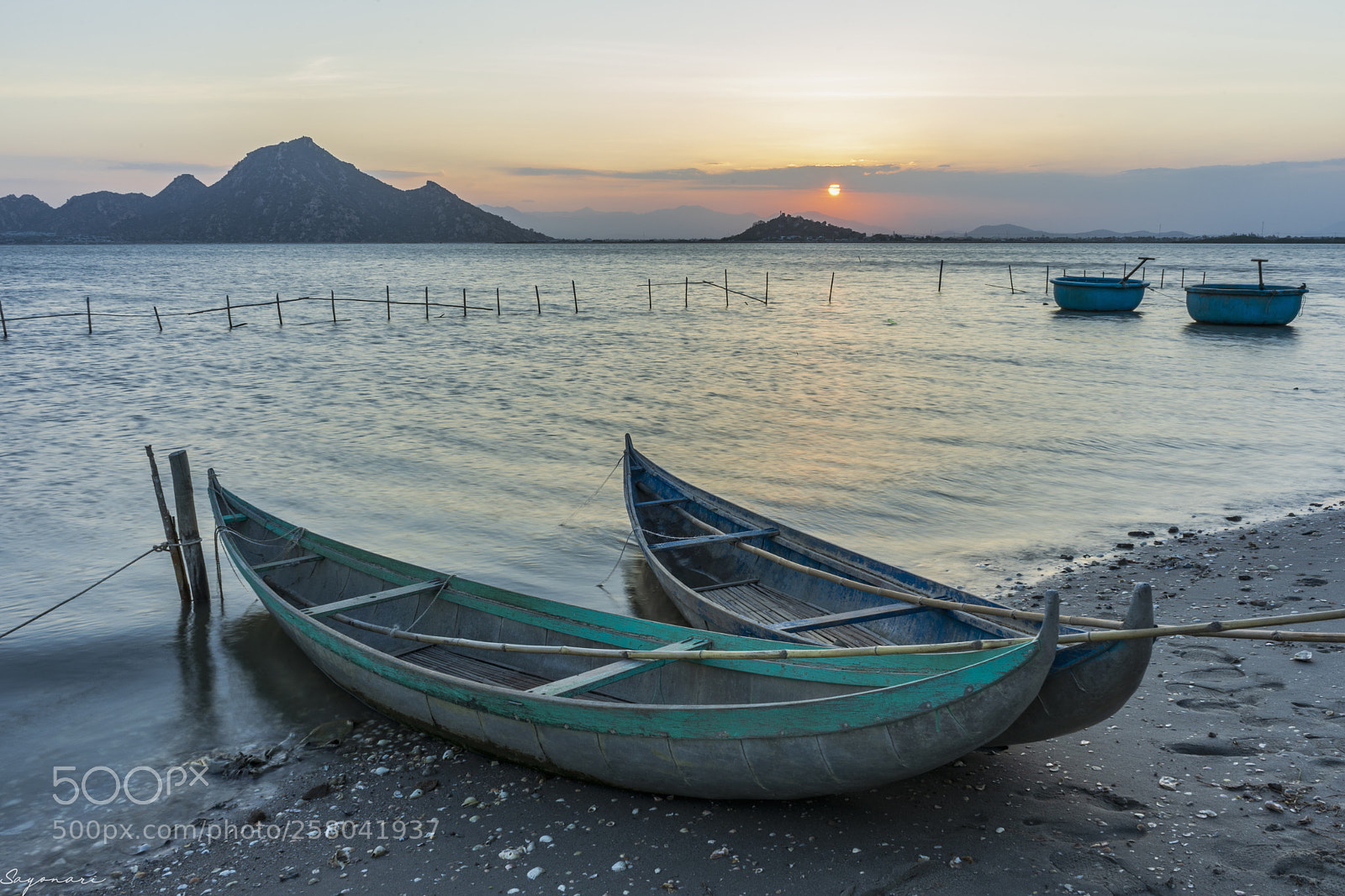 Sony a7 II sample photo. Dsc photography