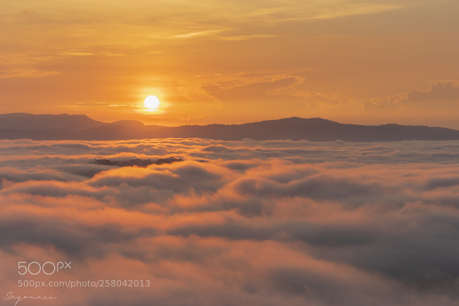Sony a7 II sample photo. Dsc photography