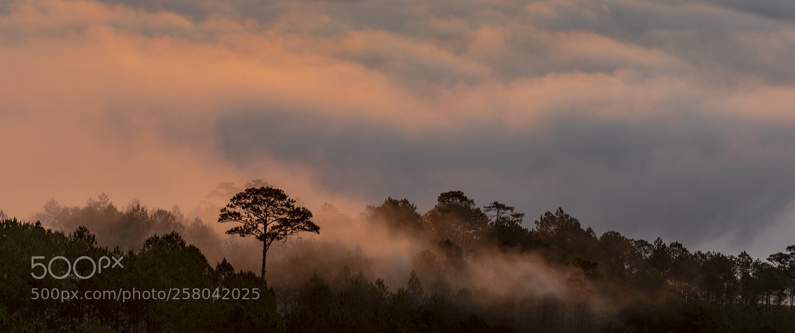 Sony a7 II sample photo. Dsc photography
