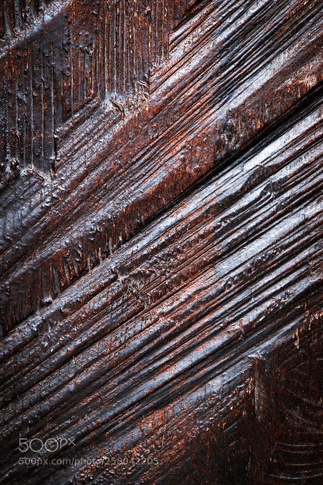 Nikon D5500 sample photo. Groove brown dark on photography