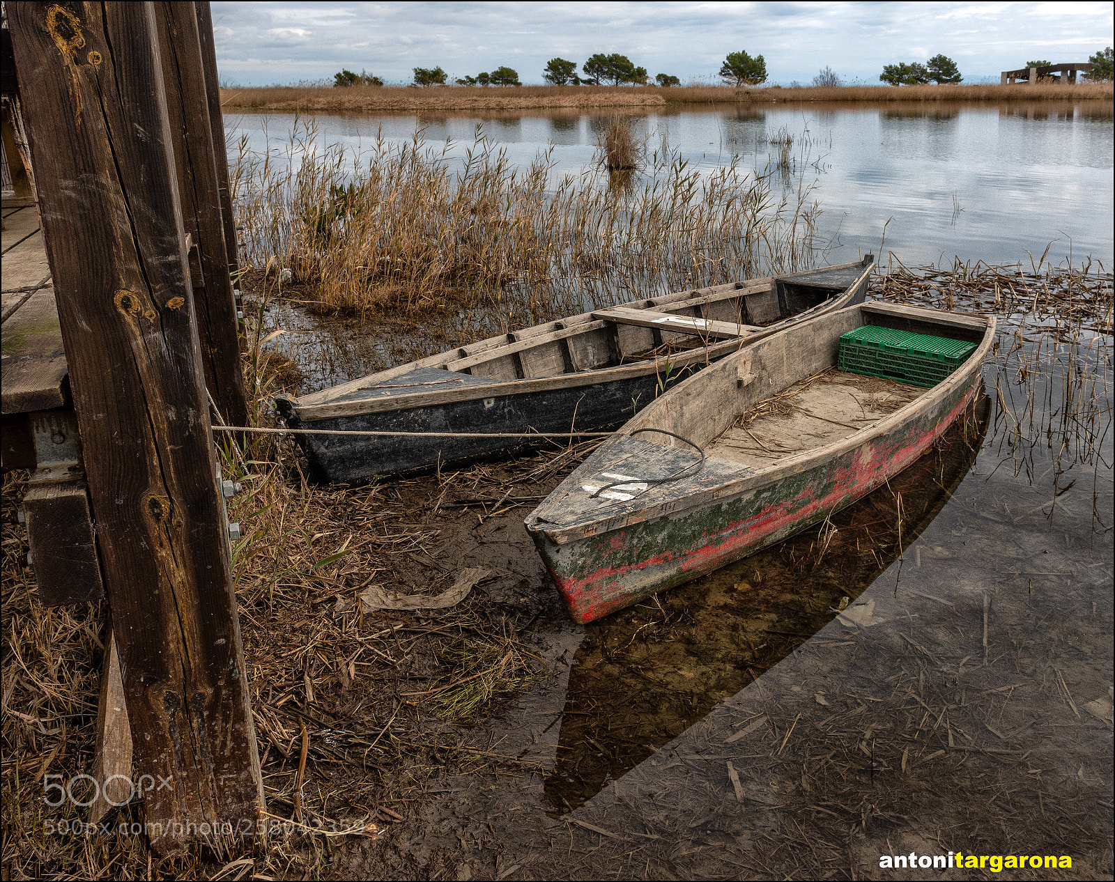 Nikon D7200 sample photo. Delta de l'ebre photography