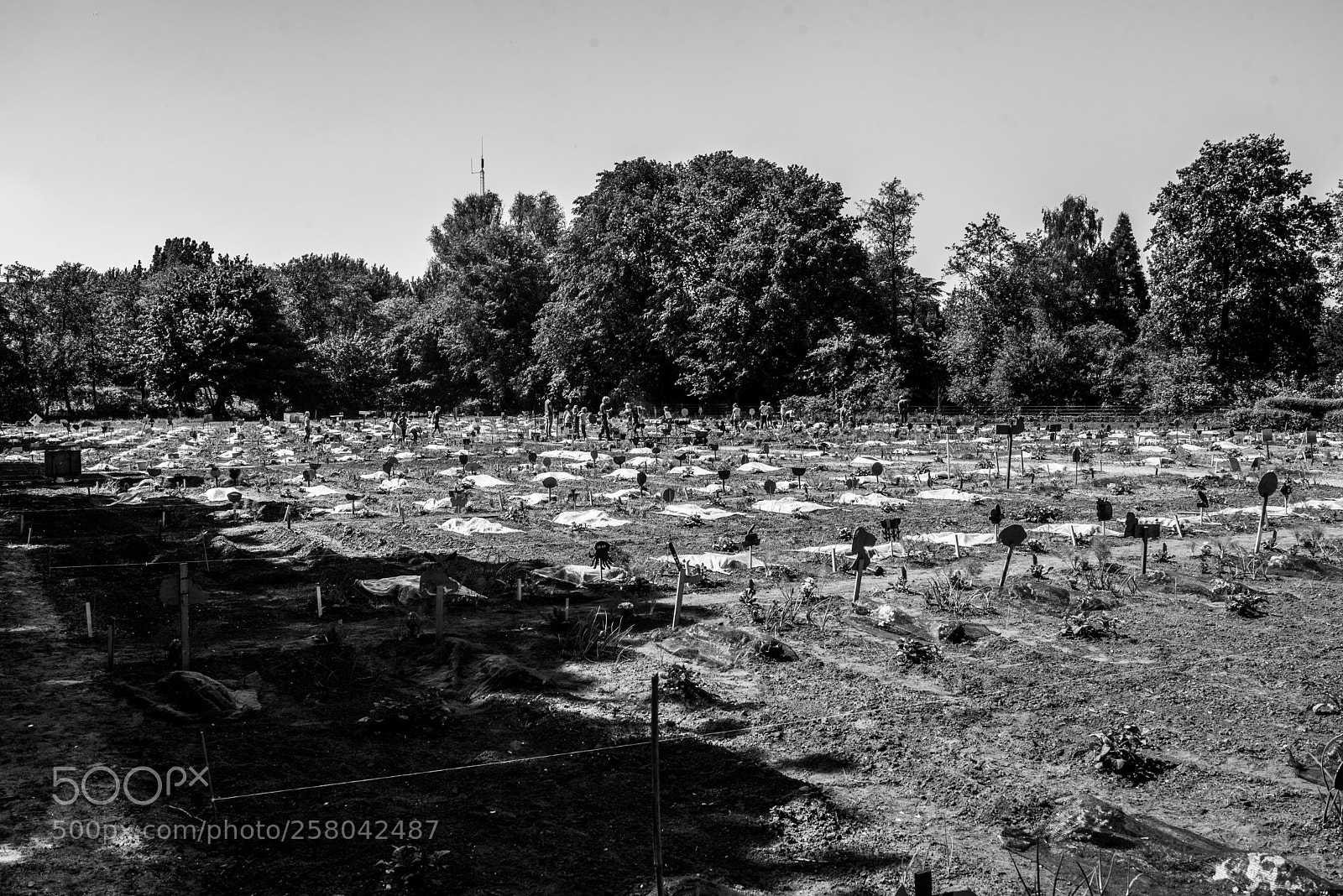 Nikon D750 sample photo. Education photography