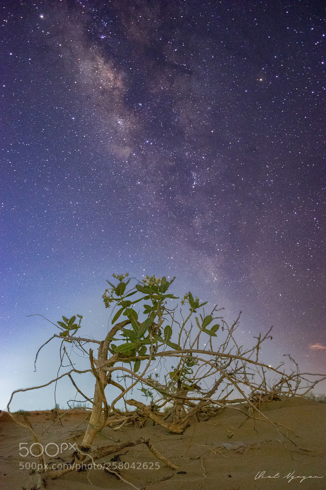 Sony a7 II sample photo. Dsc photography