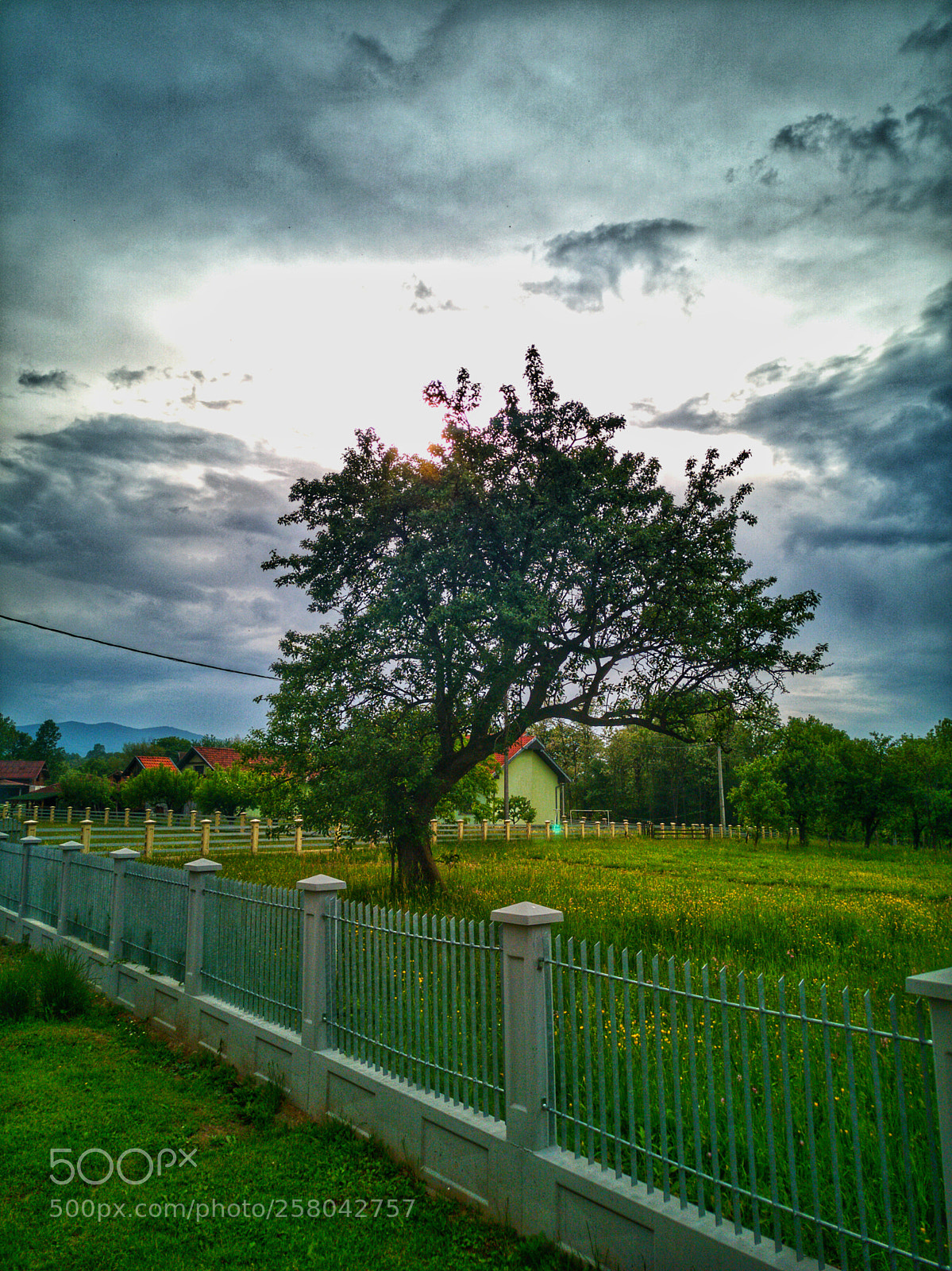HUAWEI CLT-L09 sample photo. Green sunset photography