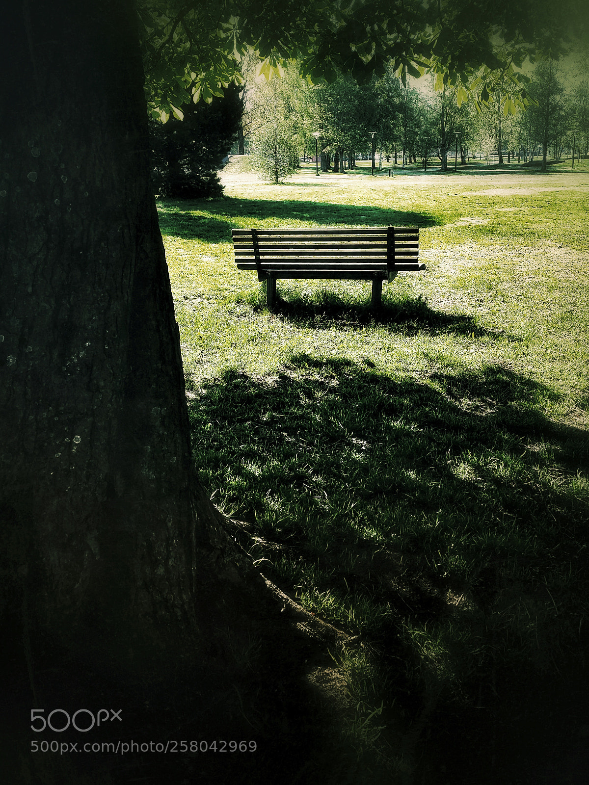 Samsung Galaxy S4 sample photo. Ut 681 photography