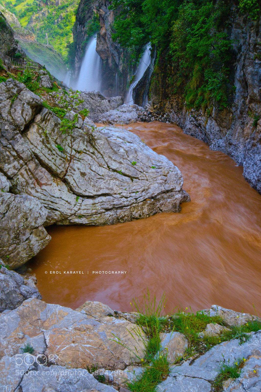 Nikon D3100 sample photo. Untitled photography