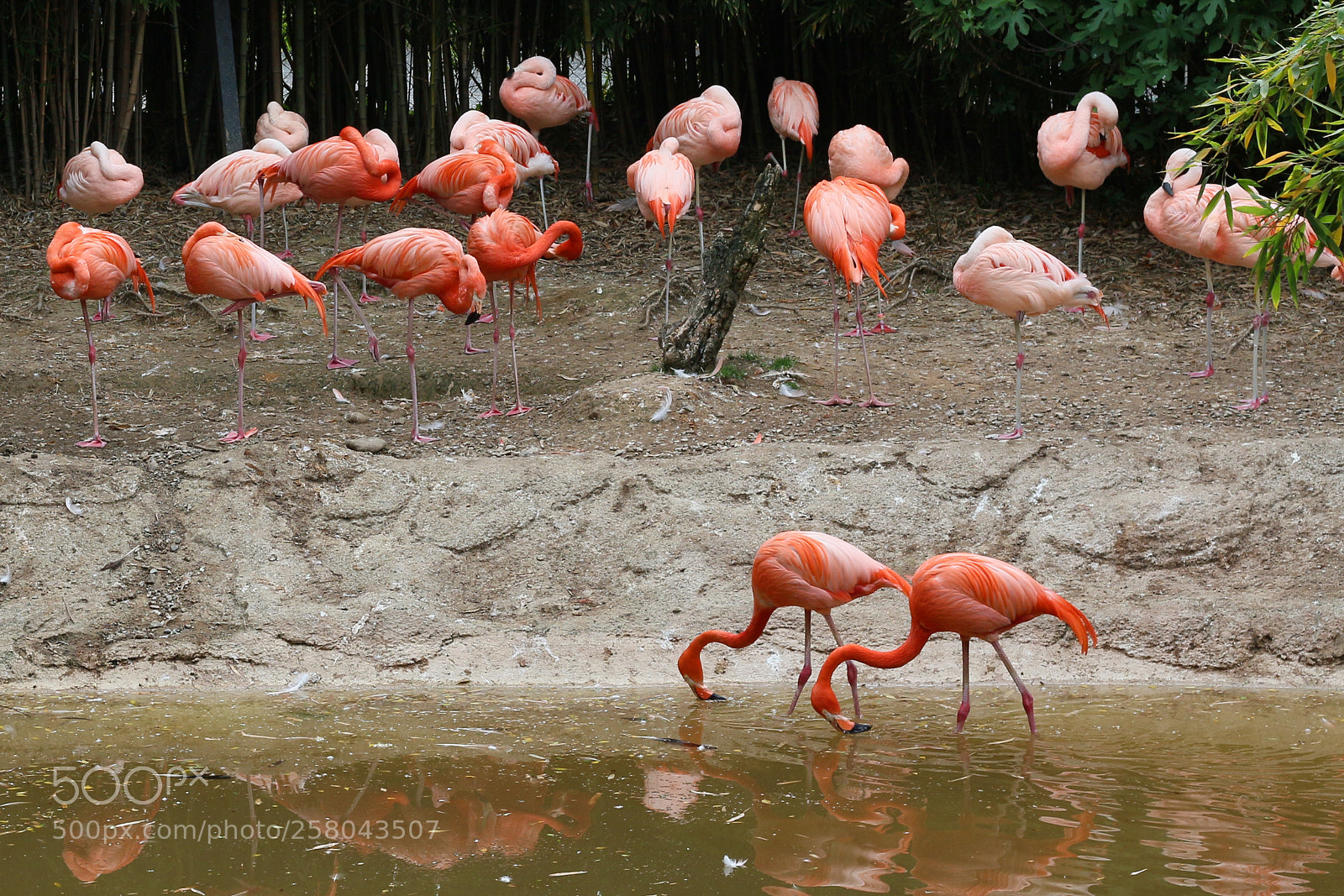 Canon EOS M sample photo. In red photography