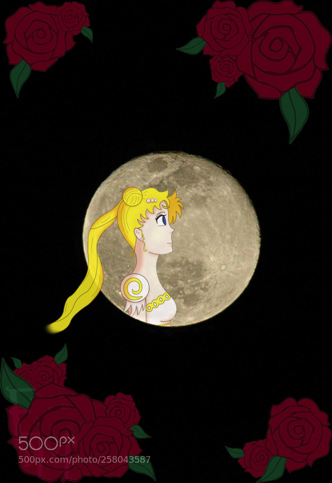 Nikon D70s sample photo. Moon princess photography