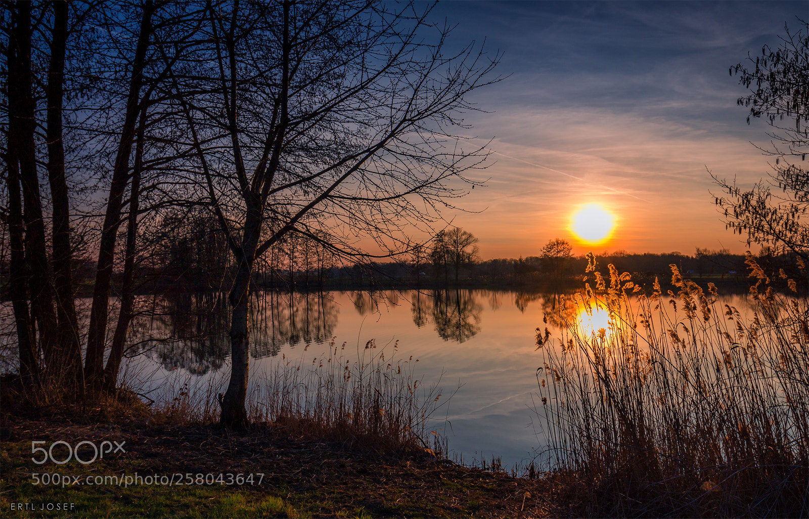 Canon EOS 70D sample photo. Abends am weiher photography