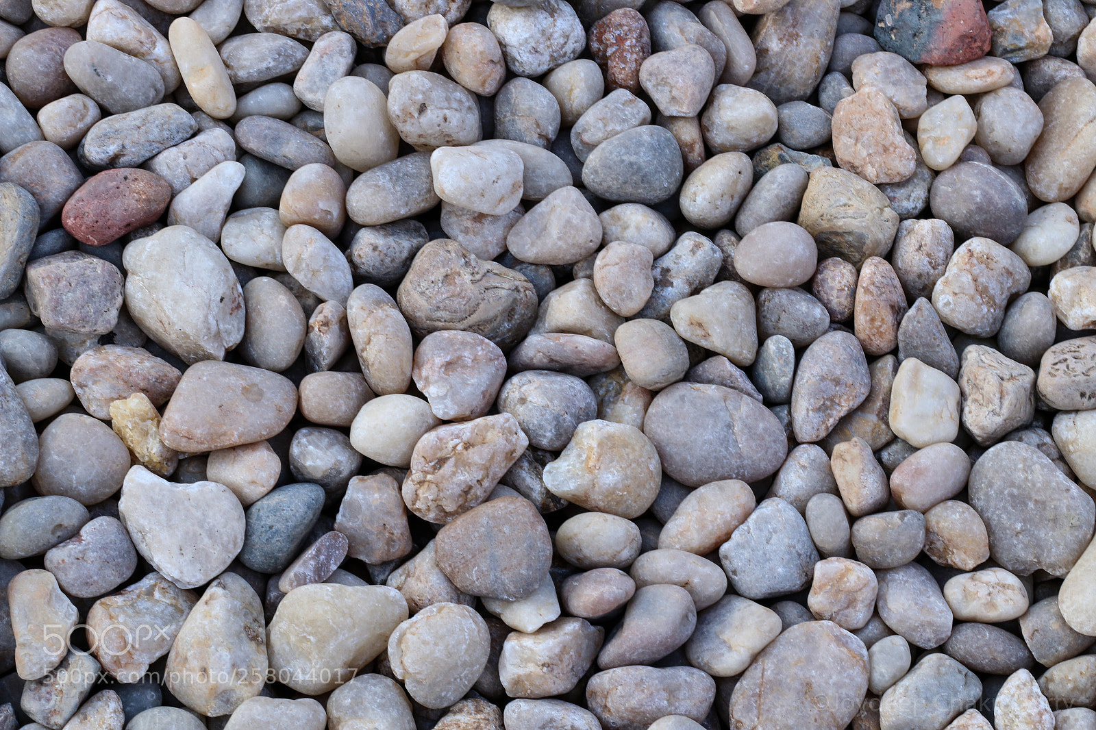 Canon EOS 70D sample photo. Surface . photography