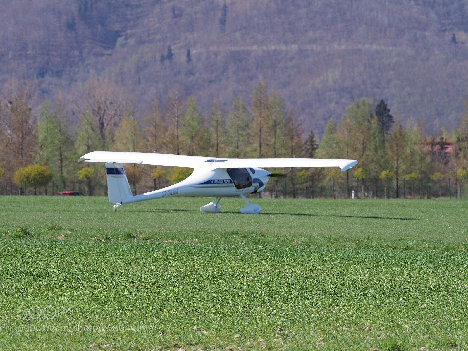 Olympus OM-D E-M1 Mark II sample photo. View of white pipistrel photography