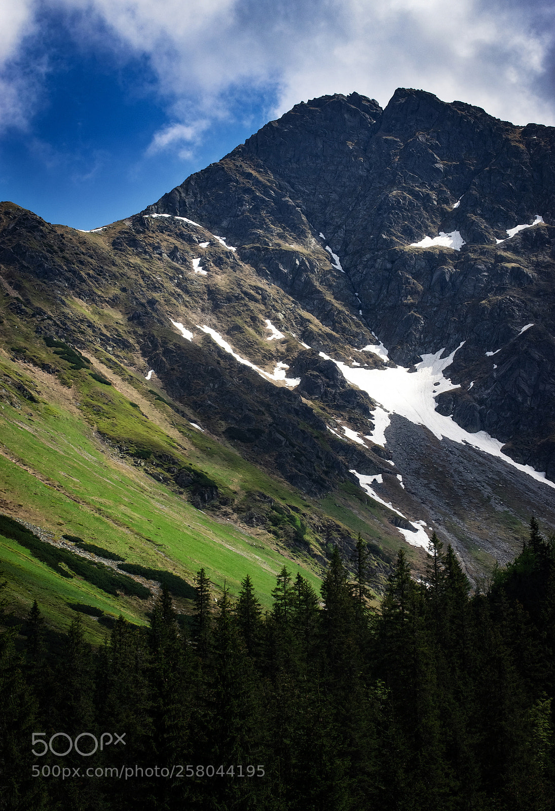 Nikon D5500 sample photo. Spring on a mountain photography