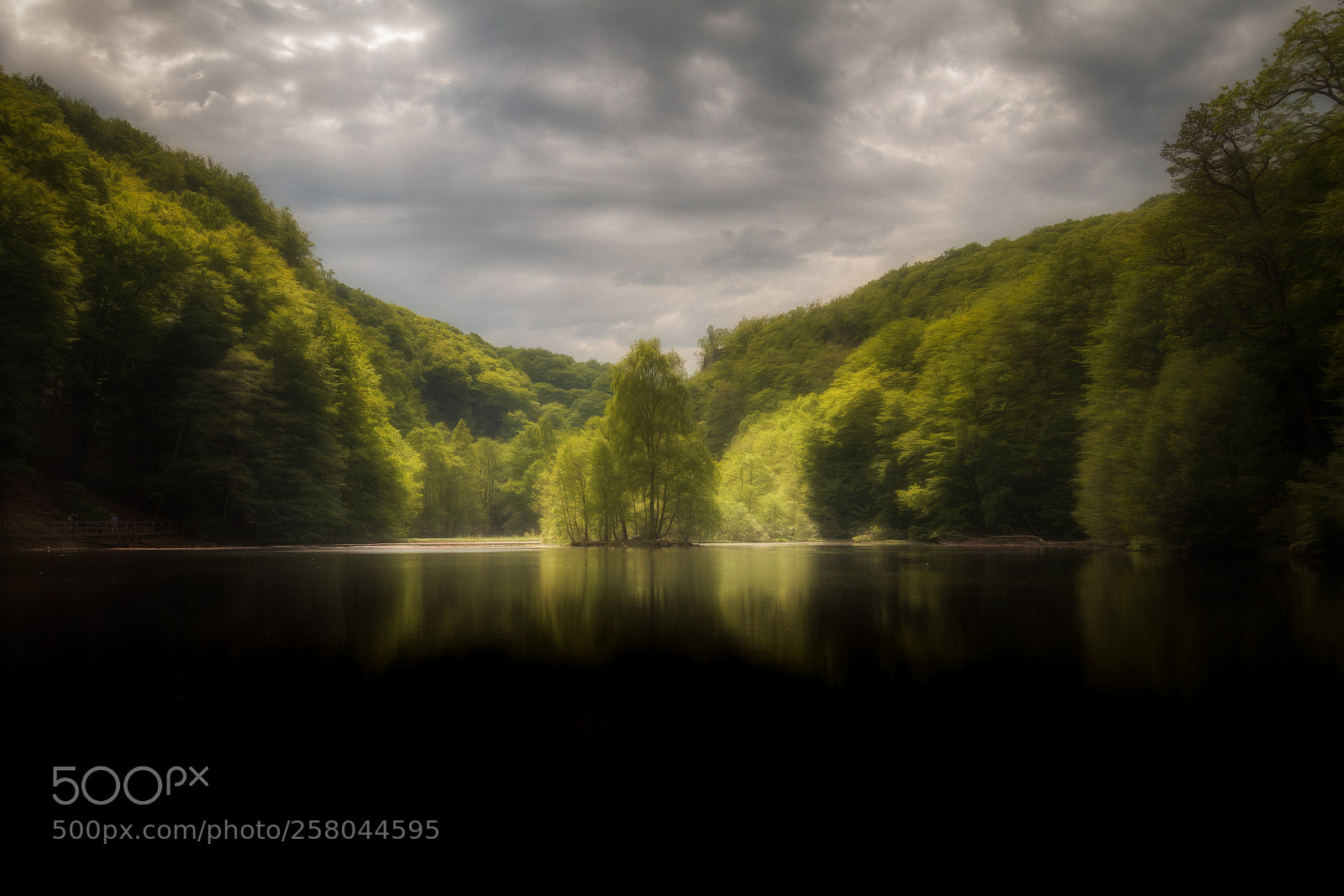 Canon EOS 70D sample photo. Lake in the forest photography