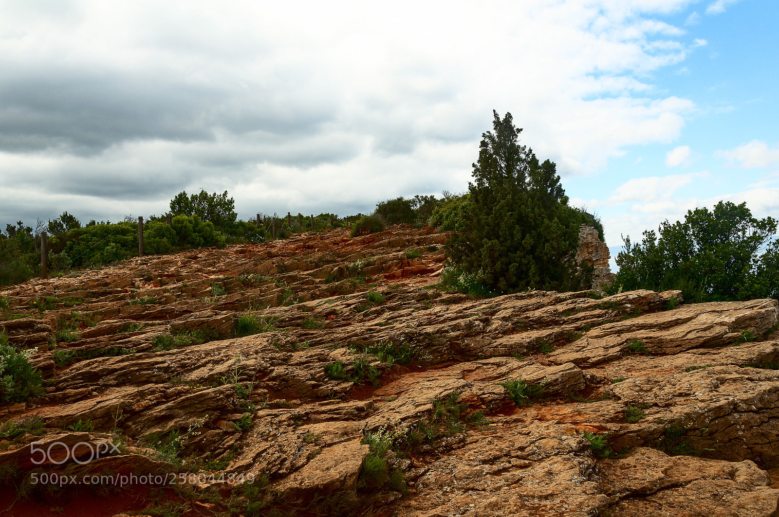 Nikon D90 sample photo. Terre de provence photography