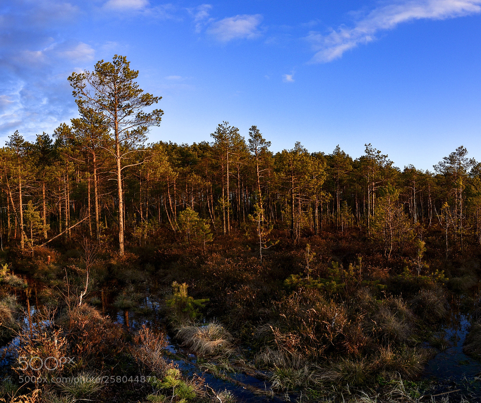 Nikon D7100 sample photo. Панорама photography