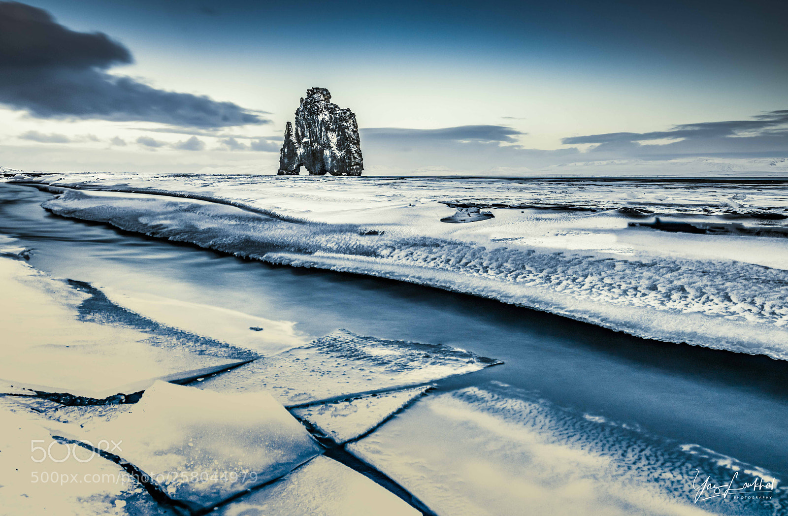 Nikon D850 sample photo. Dragon of hviserkur photography