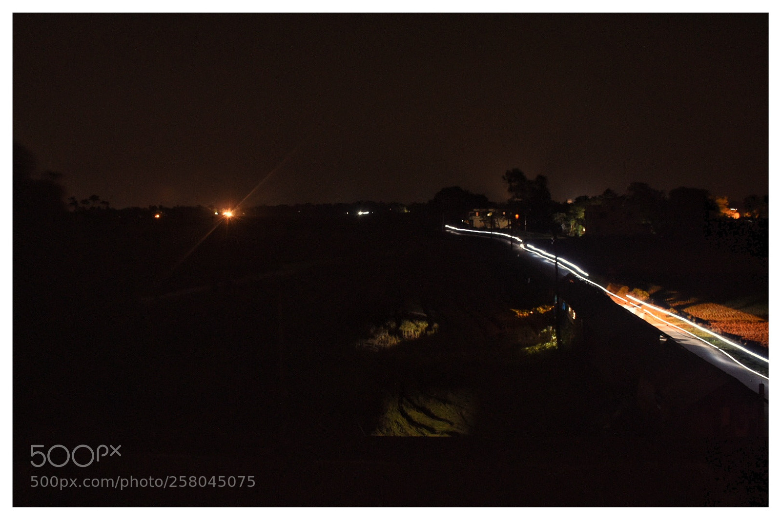 Nikon D7200 sample photo. Untitled photography