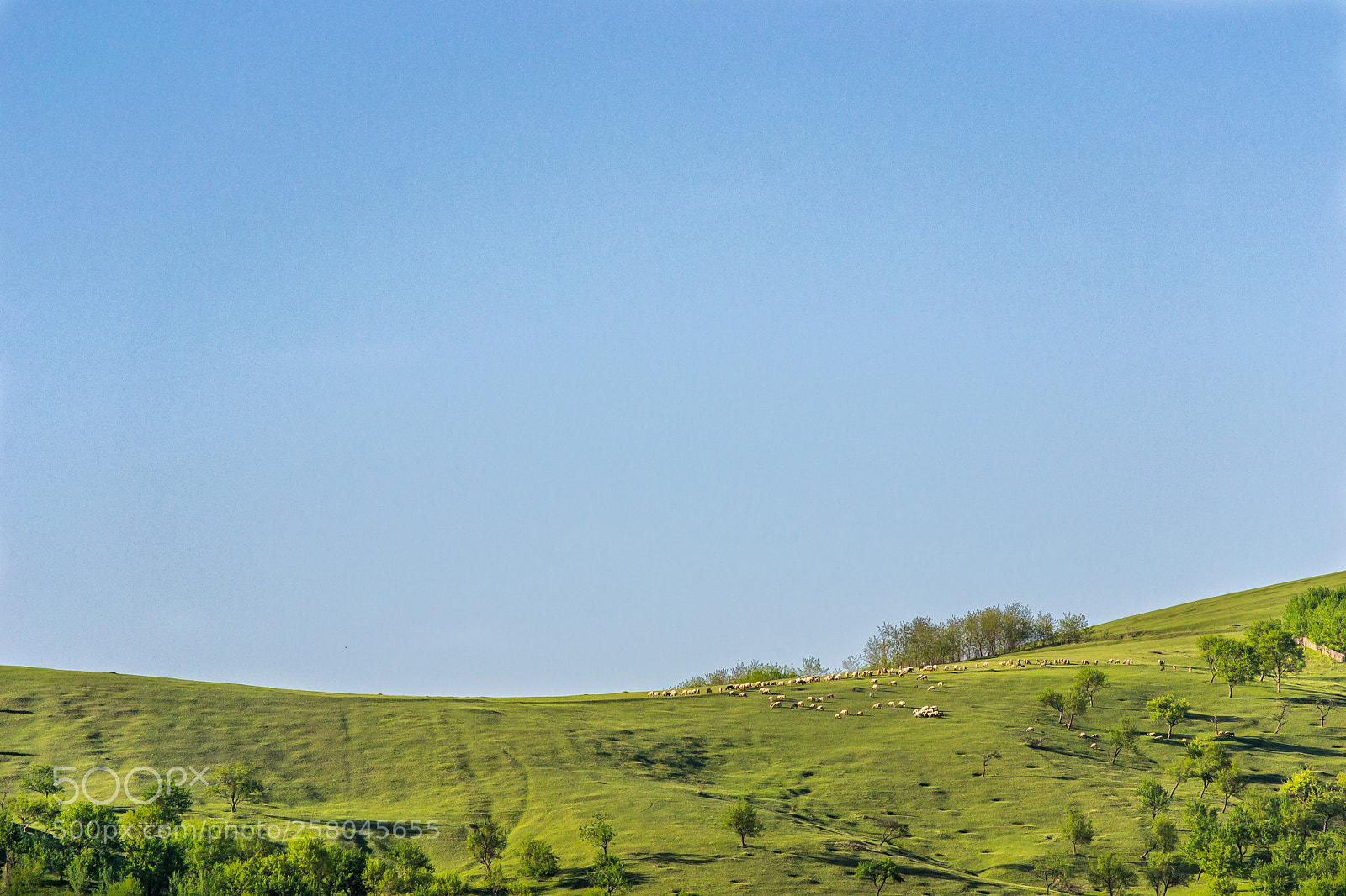 Nikon D3100 sample photo. Untitled photography