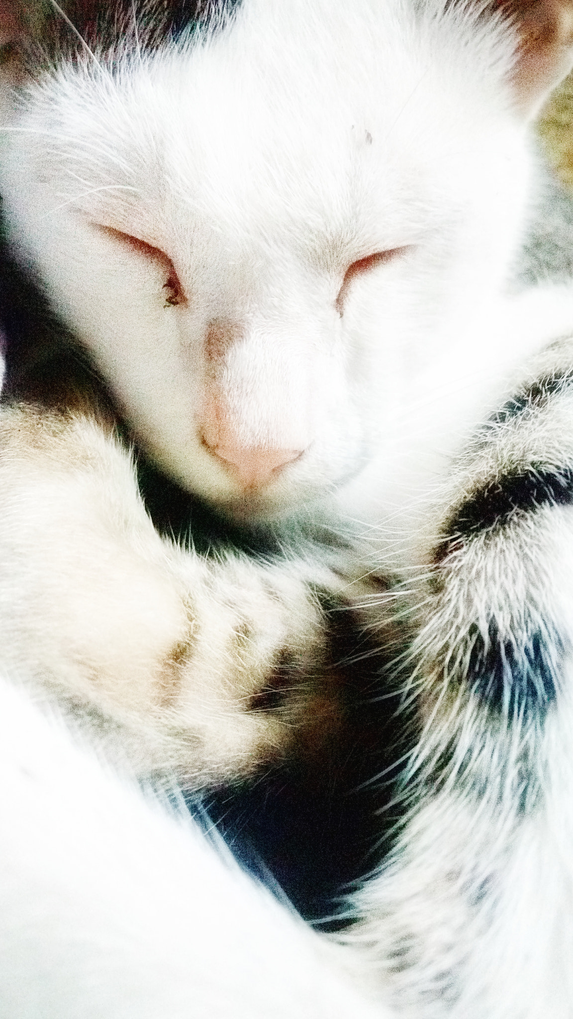 Lenovo VIBE X3 LITE sample photo