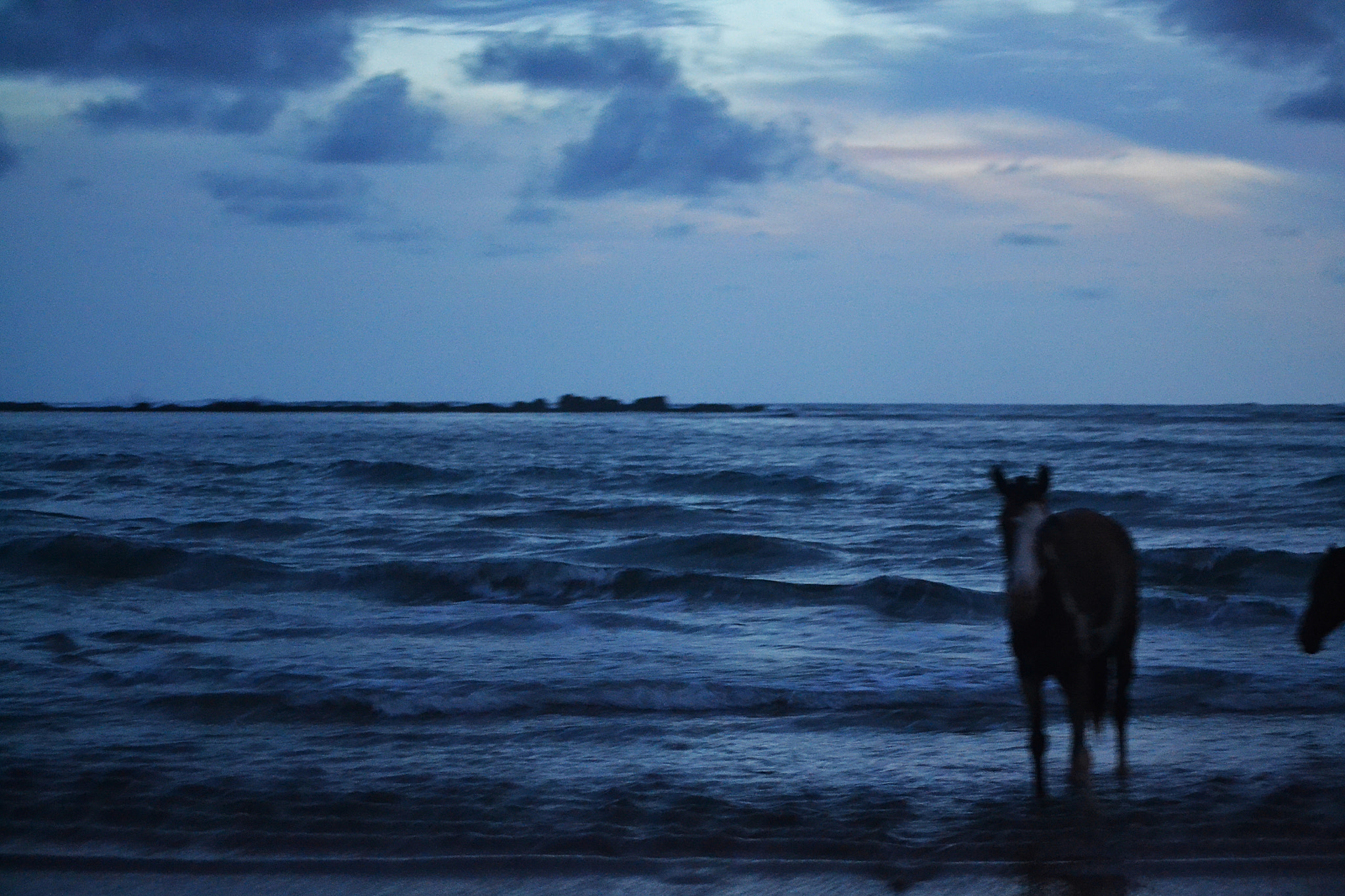 Nikon D3100 sample photo. The beach at night photography