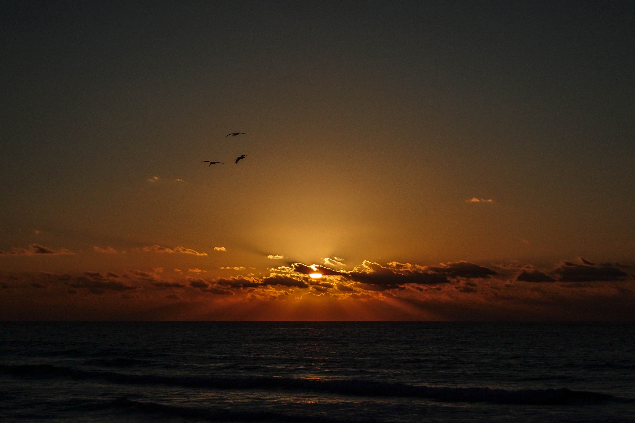 Olympus TG-4 sample photo. Birds fly, sunrise photography