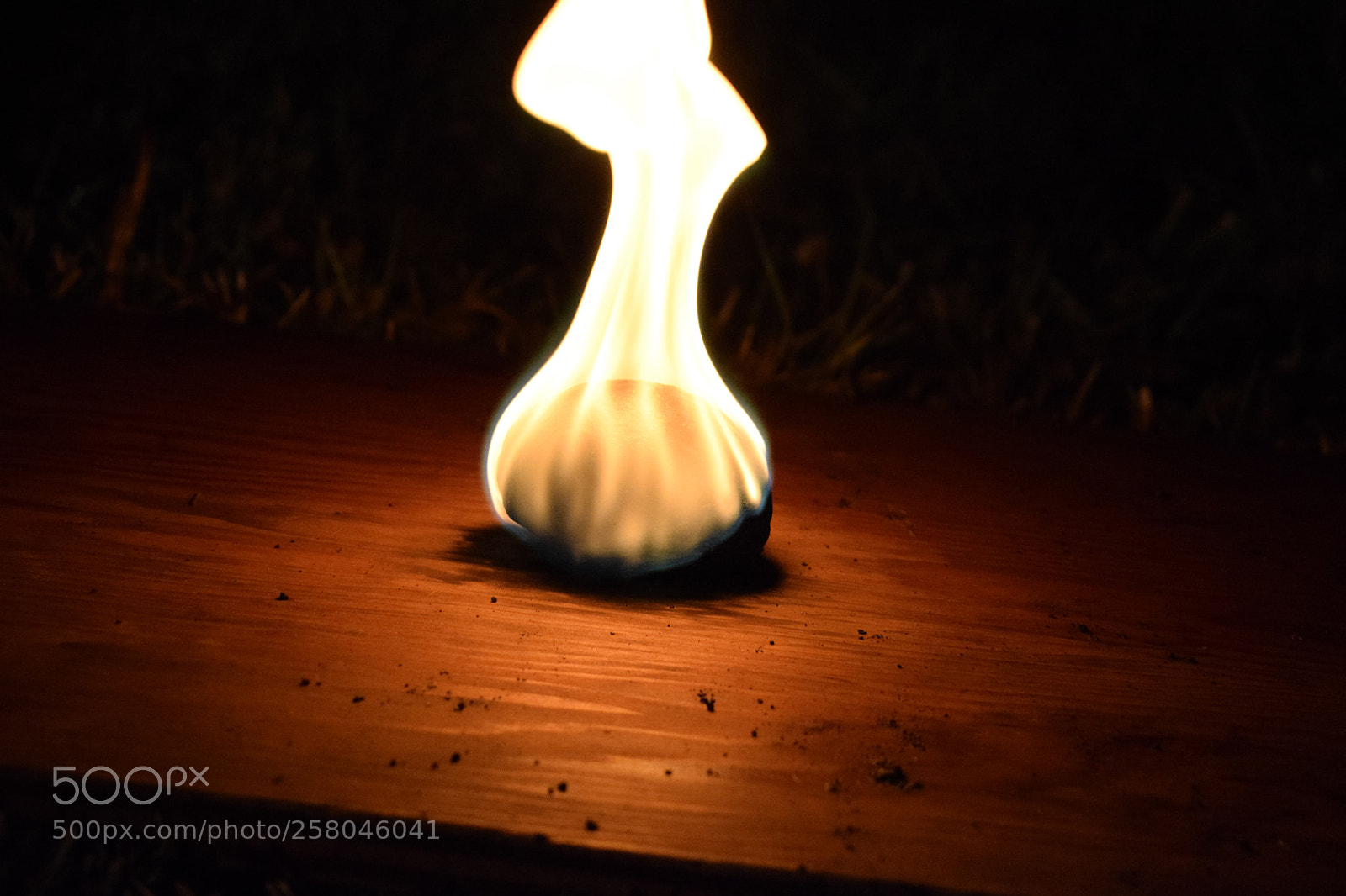 Nikon D5300 sample photo. Brainmelt photography