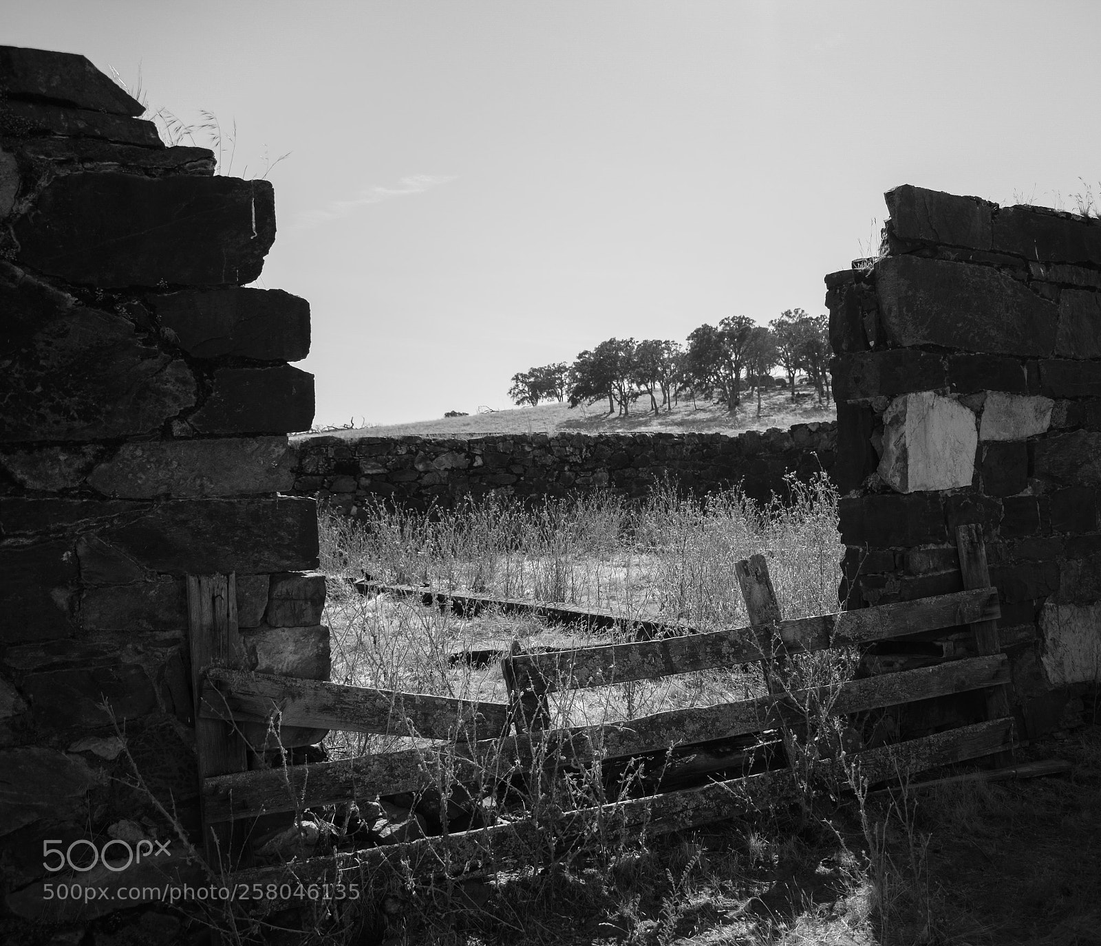 Nikon D5300 sample photo. Goldcountry gap photography