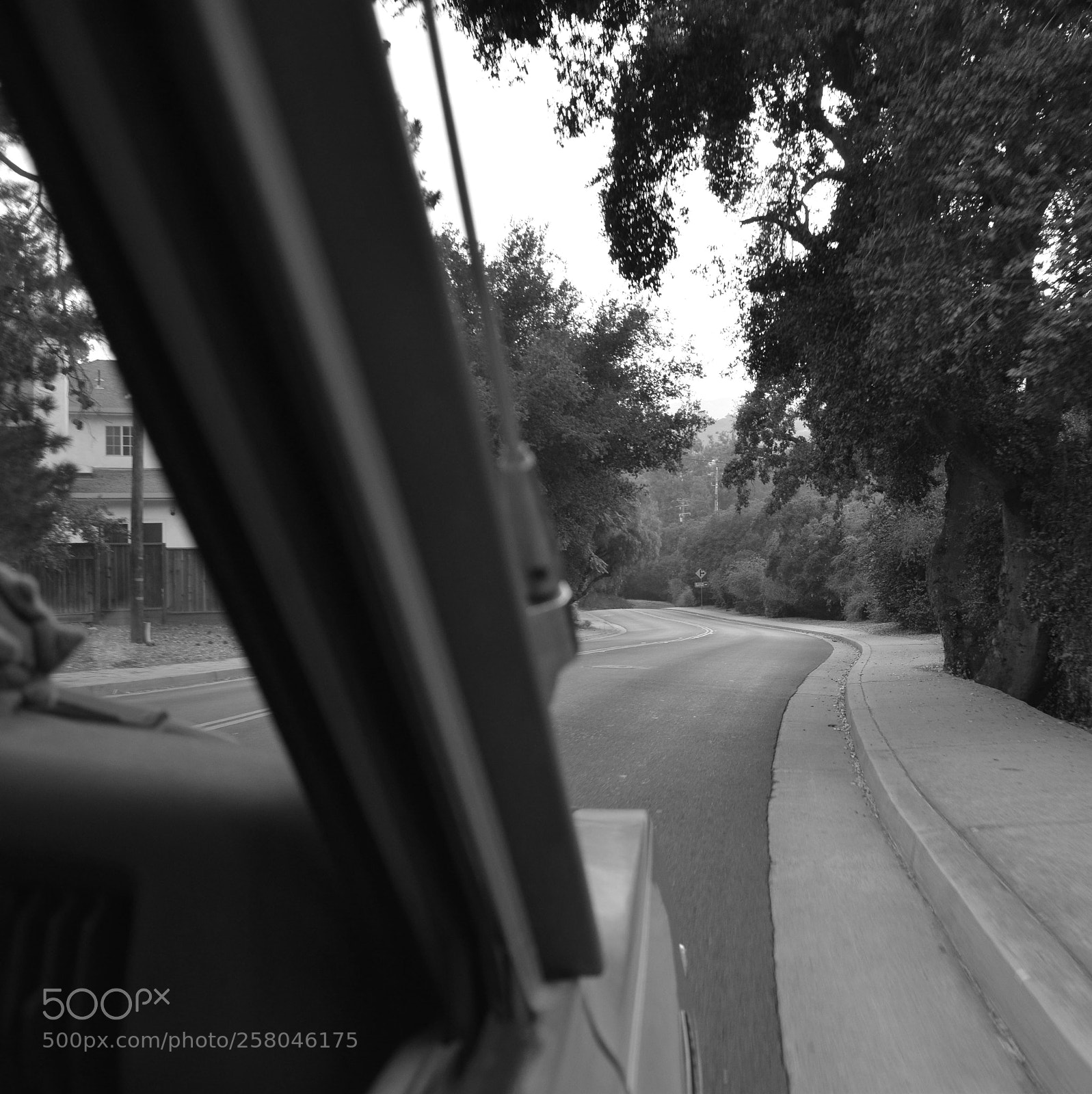Nikon D5300 sample photo. Dt windyroad photography