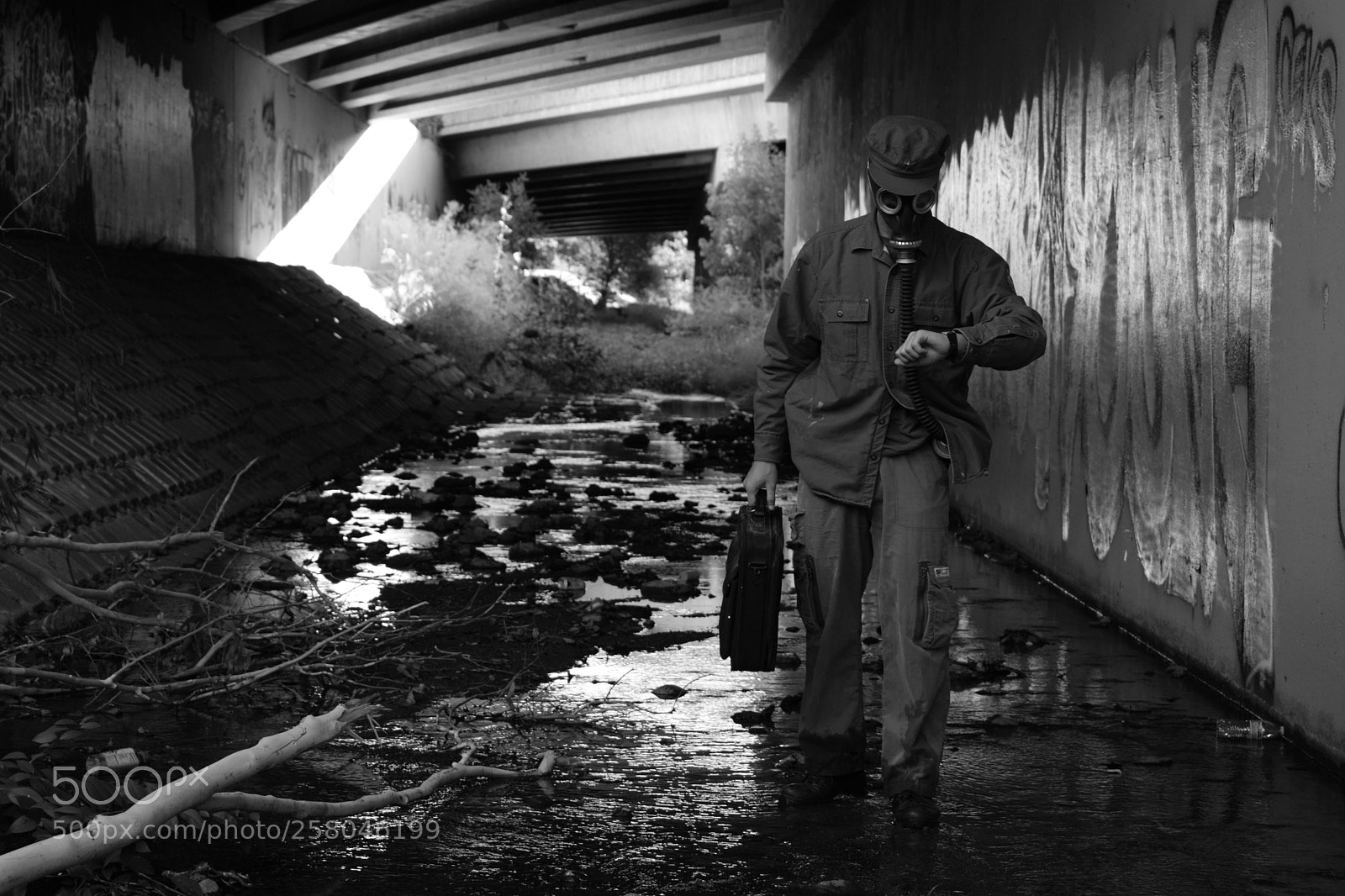 Nikon D5300 sample photo. Wastelandwalkbw photography
