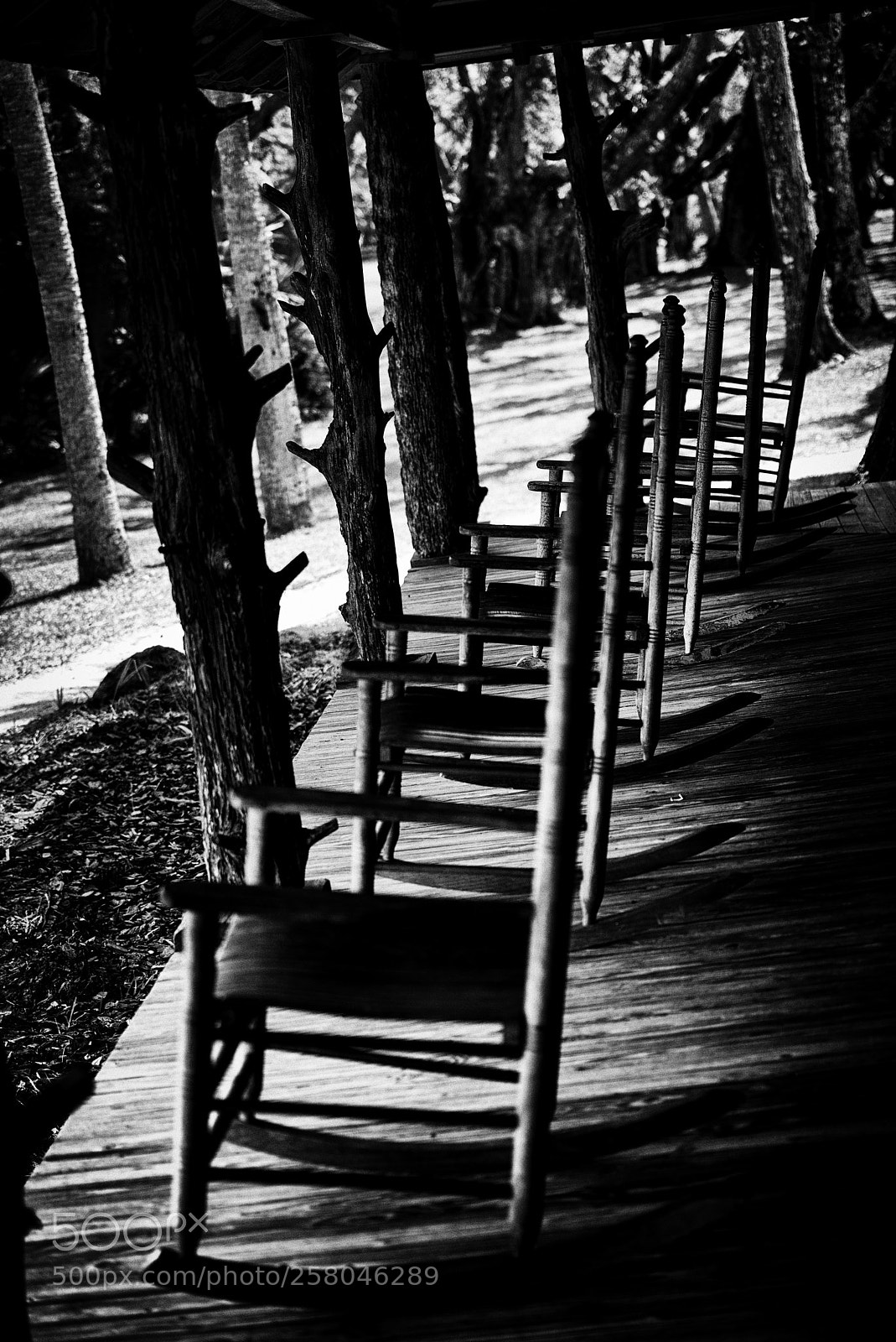 Nikon D810 sample photo. Chairs photography